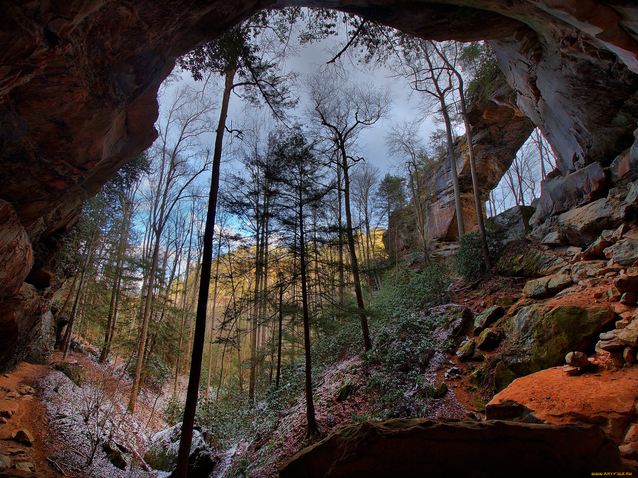 природа, горы, деревья, теснина