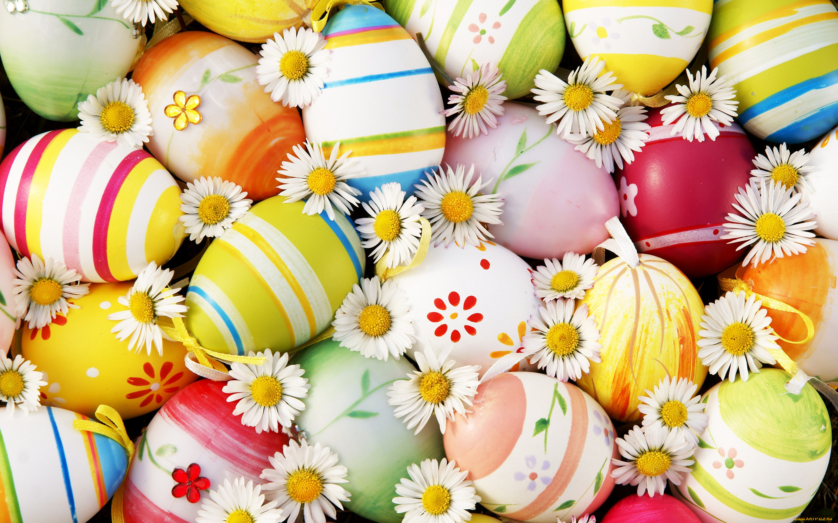 праздничные, пасха, easter, цветы, яйца, flowers, eggs, ромашки