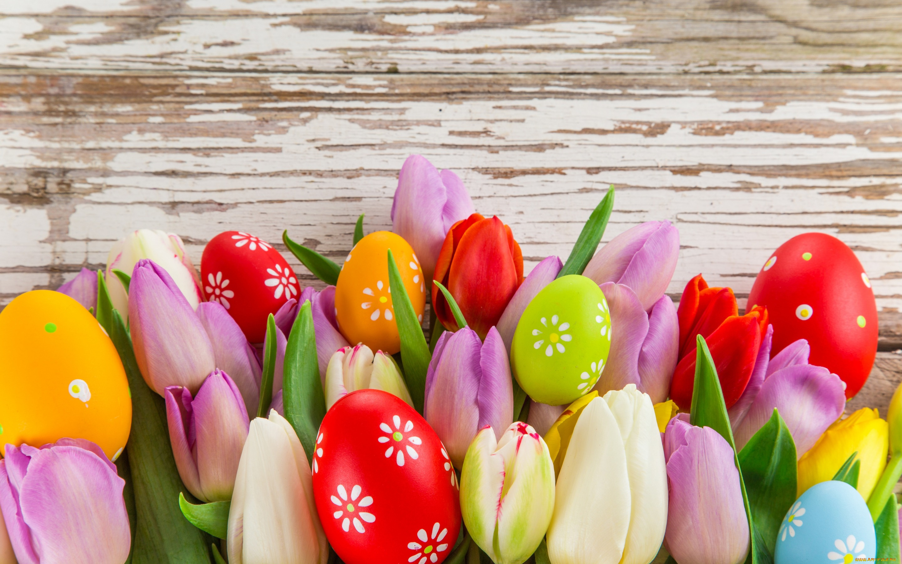 праздничные, пасха, easter, tulips, eggs, colorful, spring, яйца, тюльпаны, цветы, весна