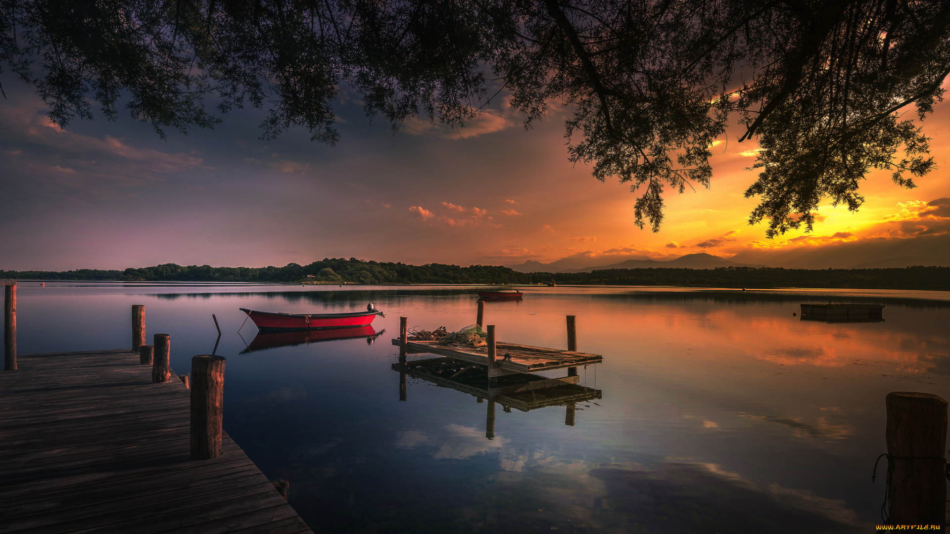 корабли, моторные, лодки, река, лес