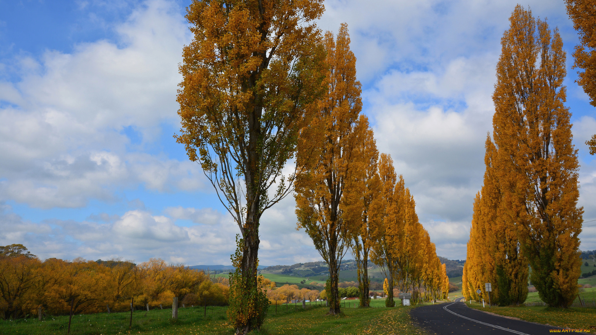 природа, дороги, осень, дорога, сад, деревья, облака, небо
