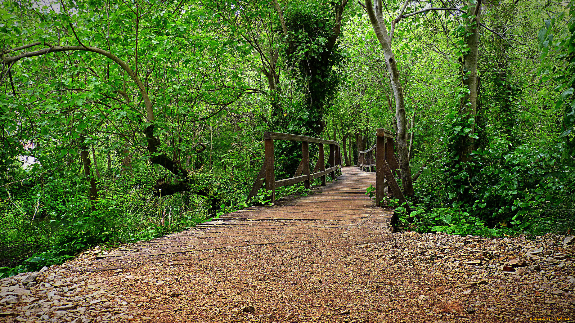 природа, дороги, тракт