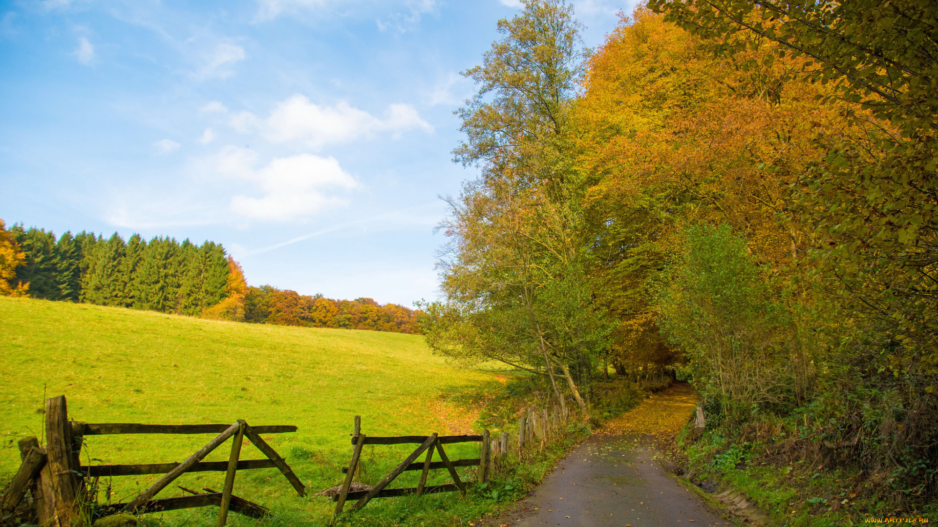 природа, дороги, тракт