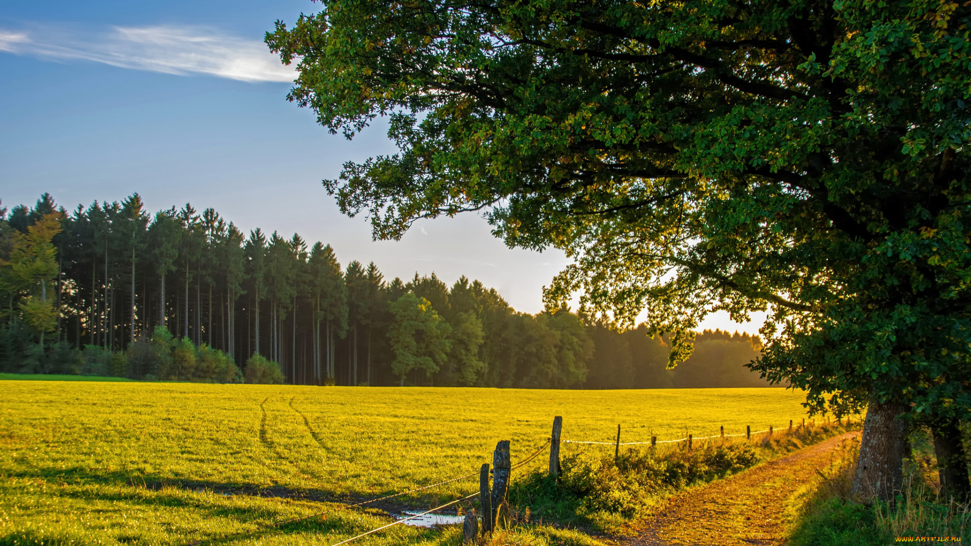 природа, дороги, тракт