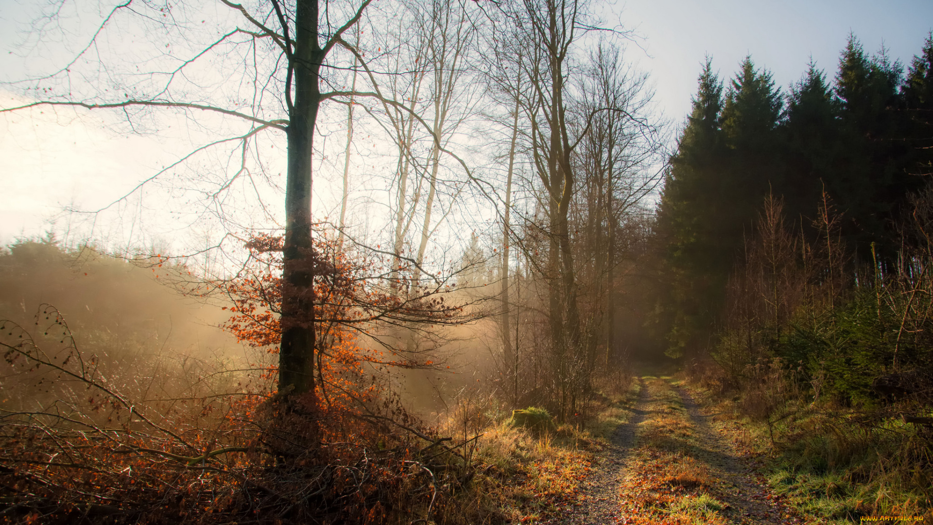 природа, дороги, тракт