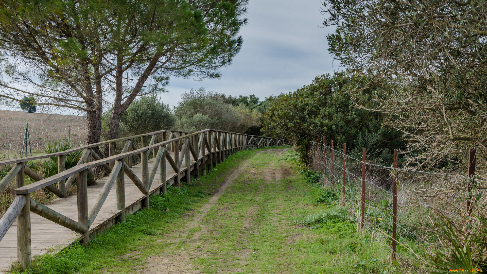 природа, дороги, тракт