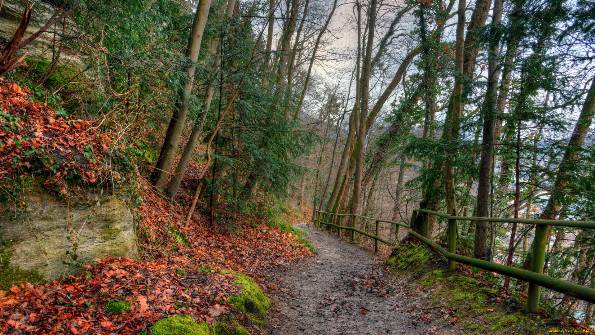 природа, дороги, тракт