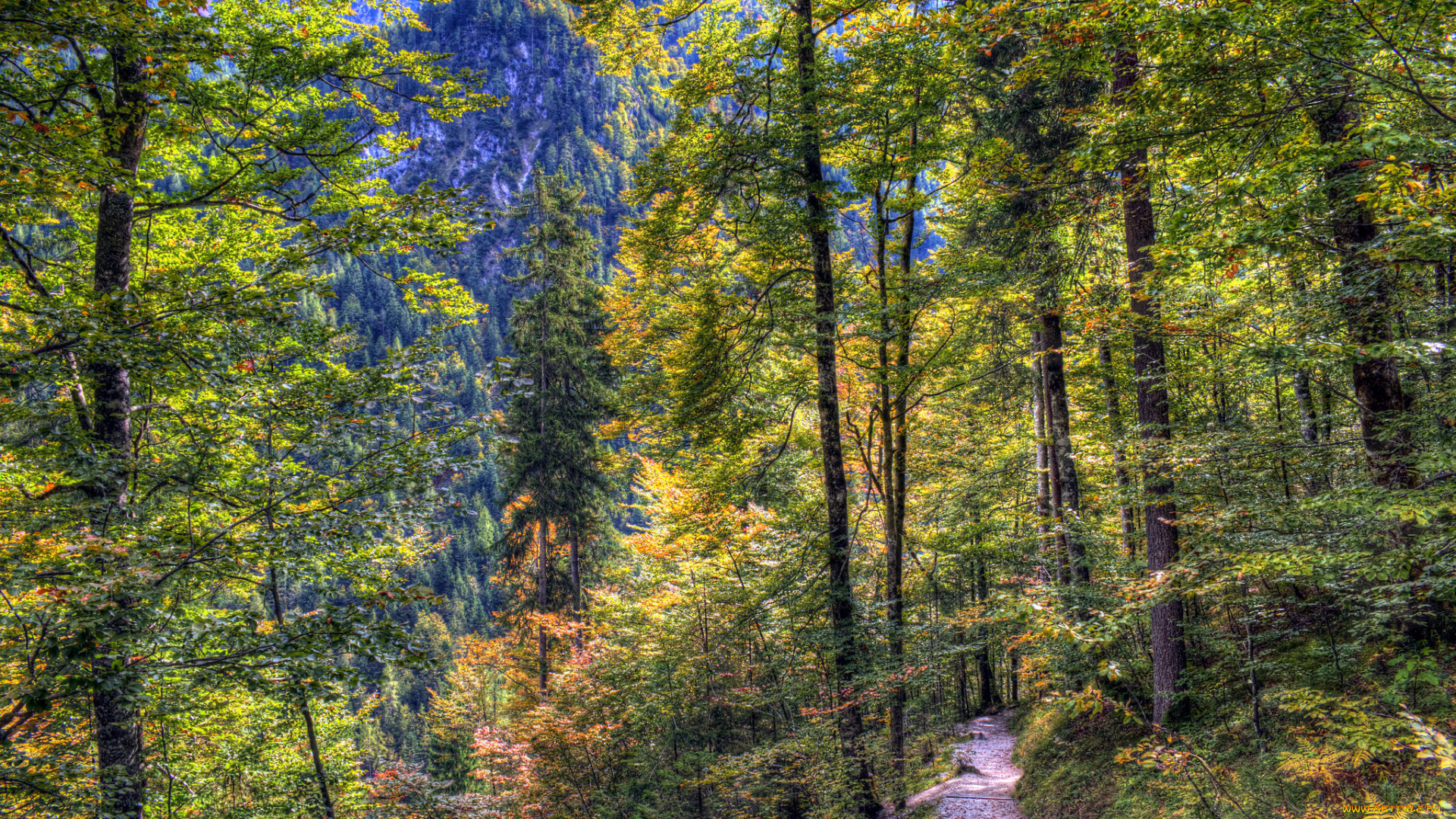 природа, дороги, тракт