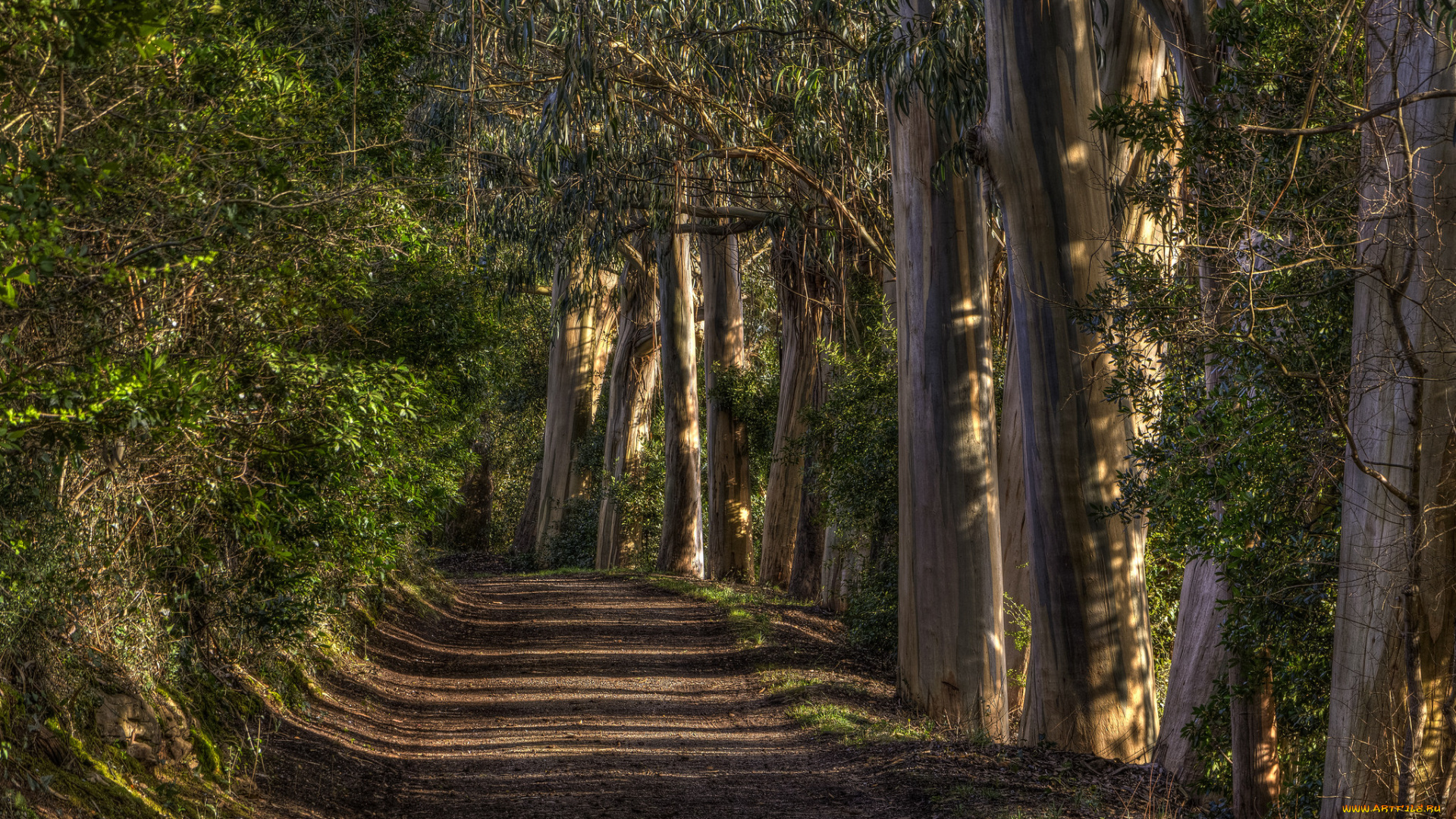 природа, дороги, тракт