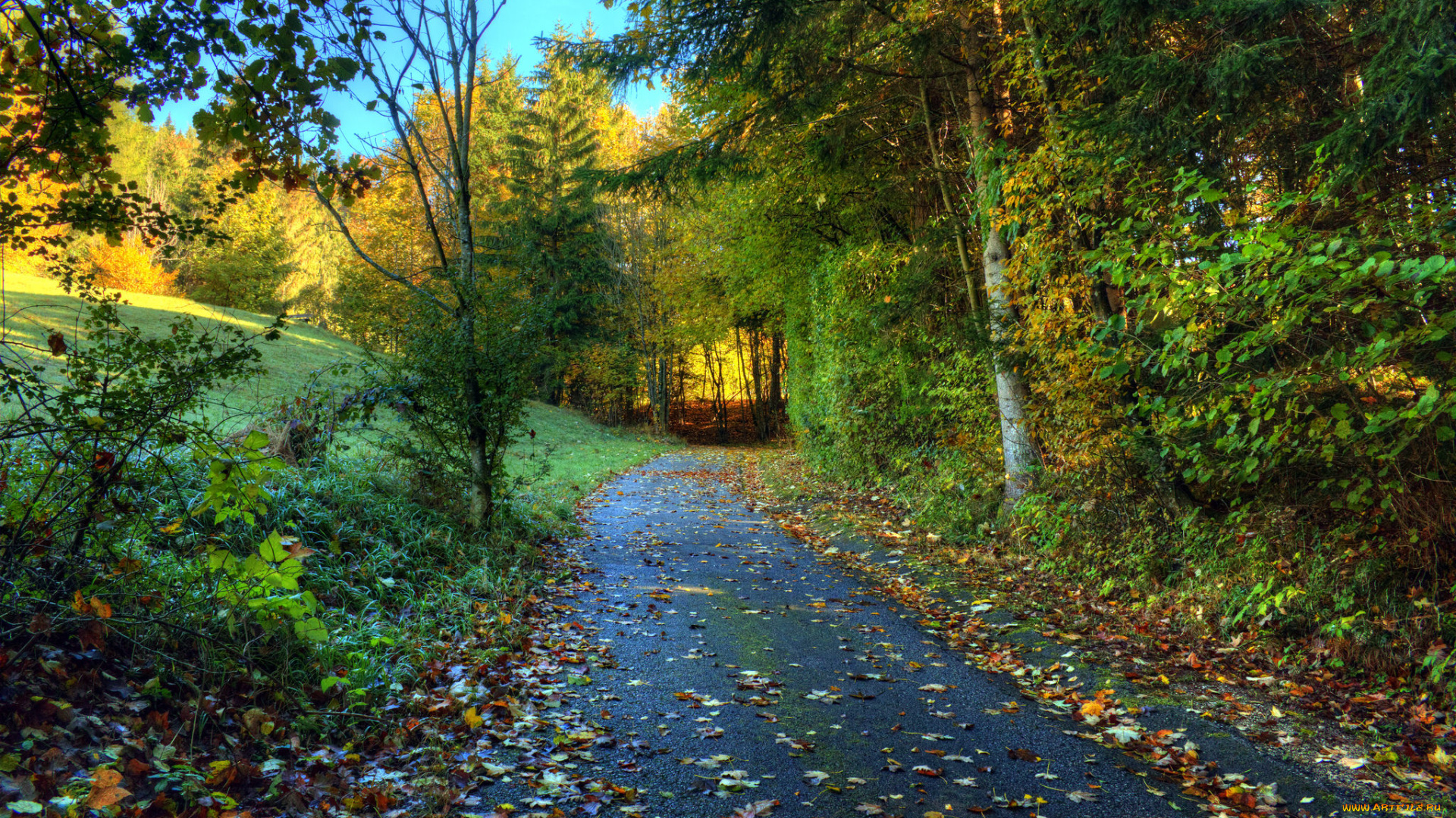 природа, дороги, тракт