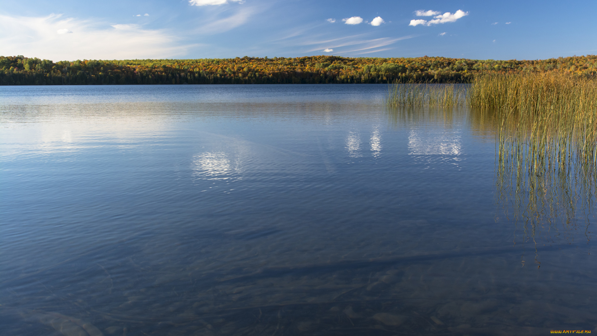природа, реки, озера, пруд, вода, озеро, небо, растение