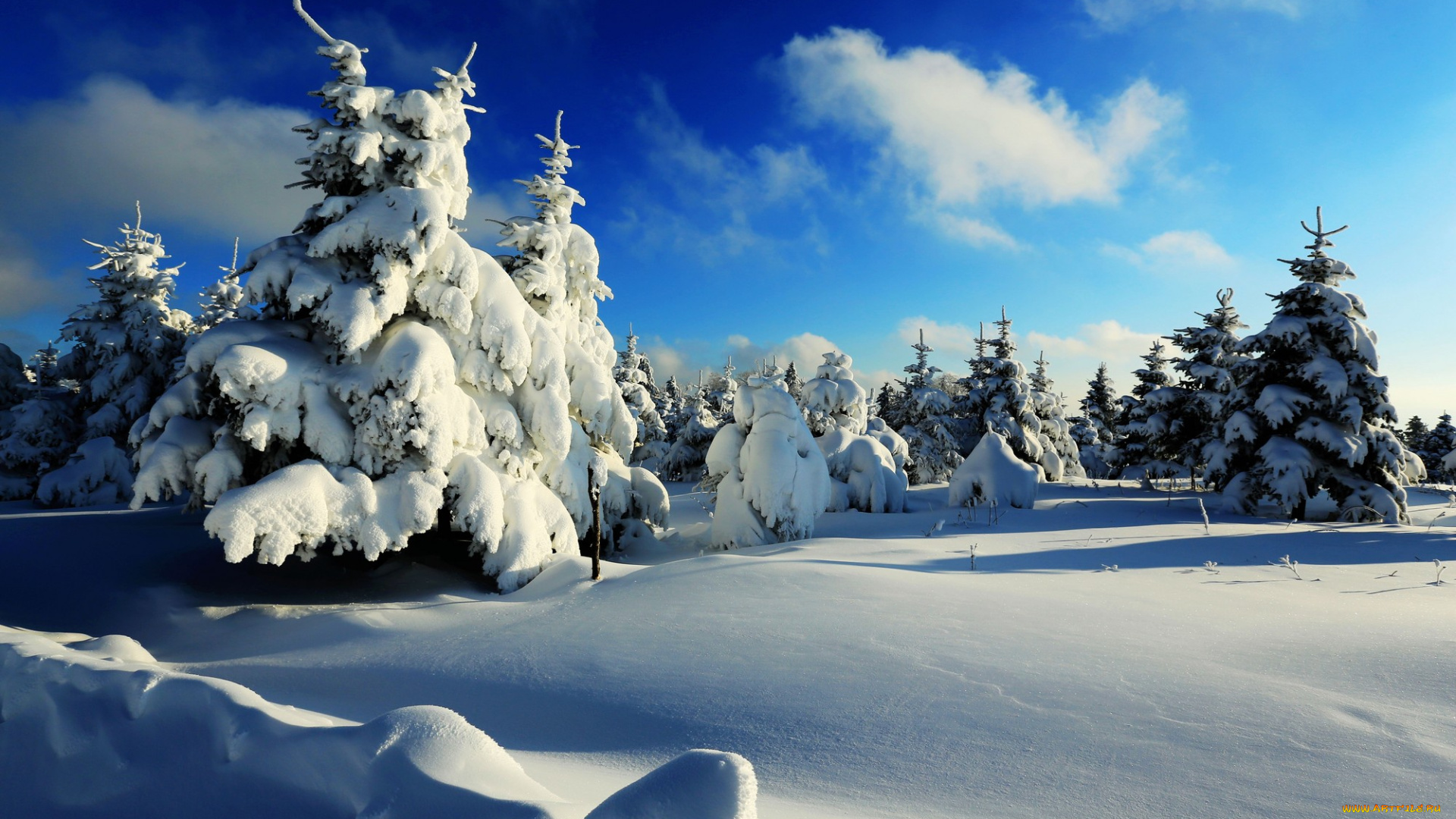 природа, зима, деревья, снег