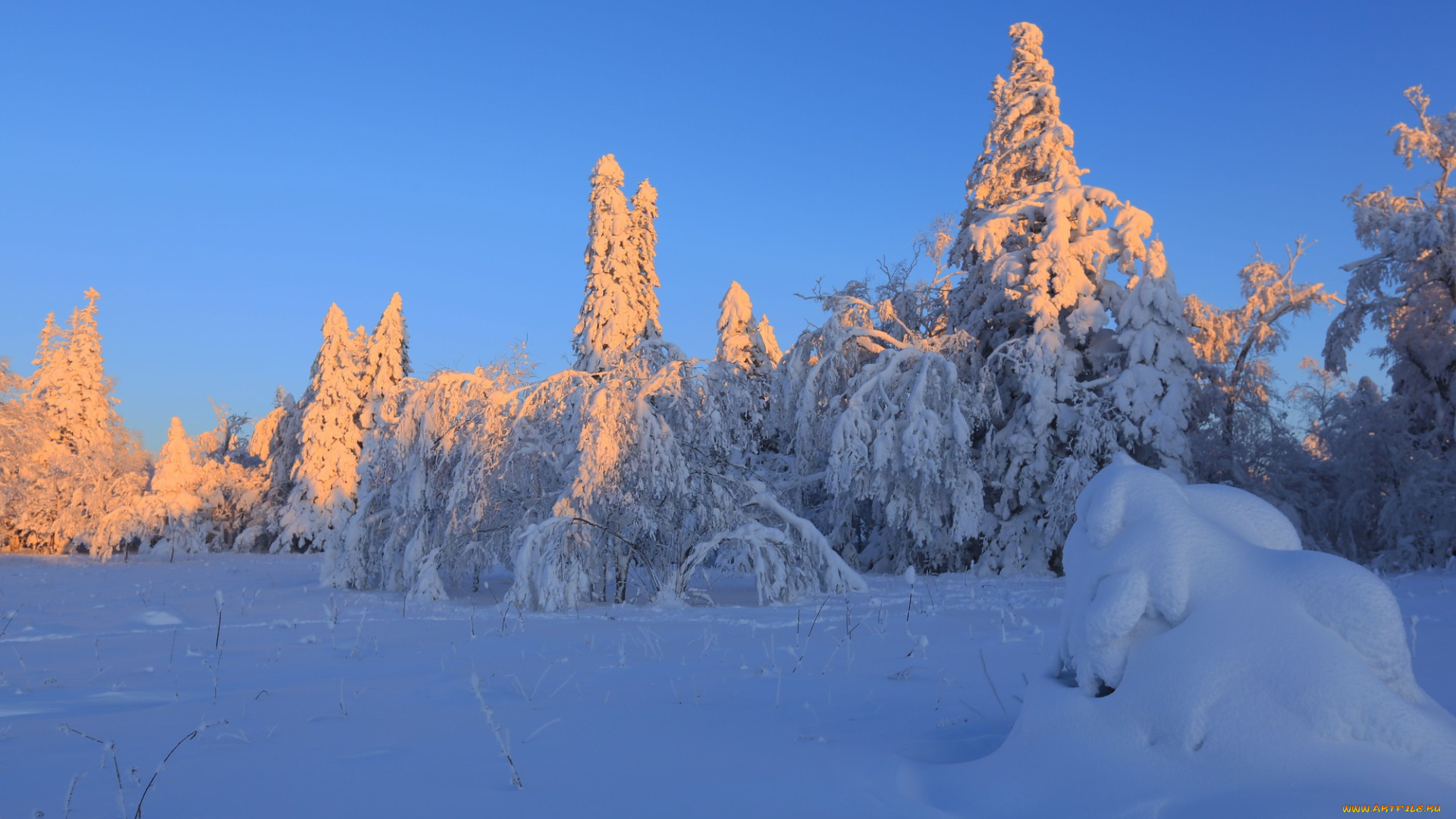природа, зима, снег, деревья