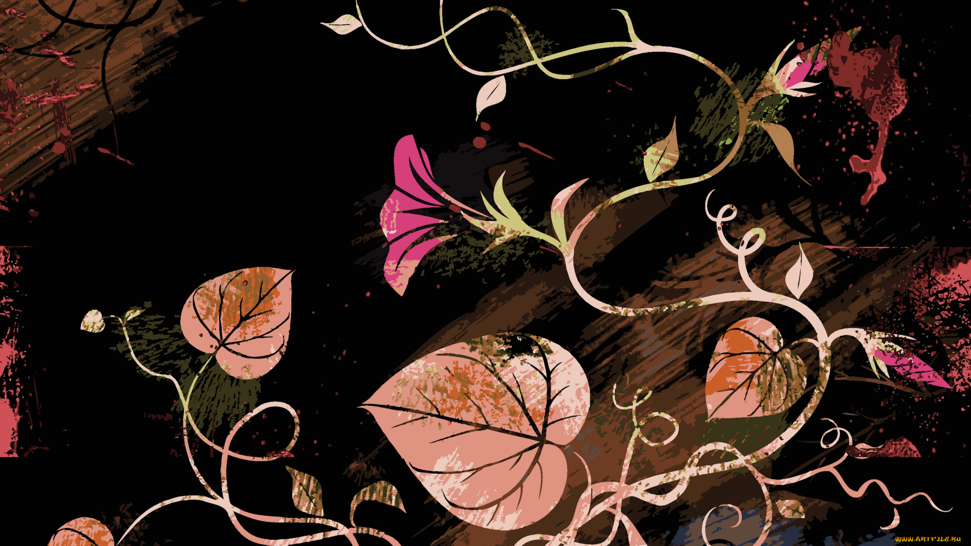 векторная, графика, цветы, , flowers, черный, фон, абстракция, узоры