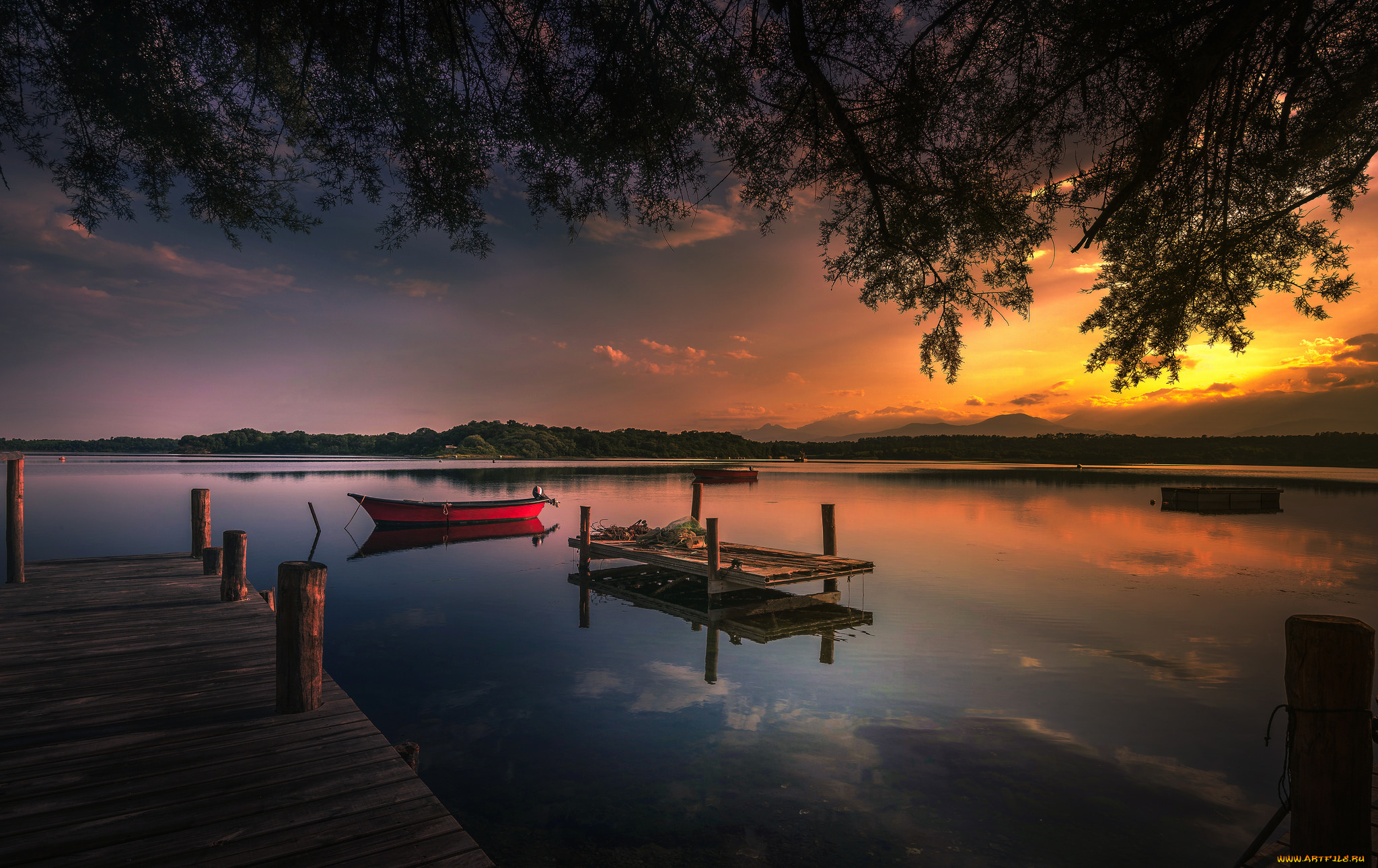 корабли, моторные, лодки, река, лес