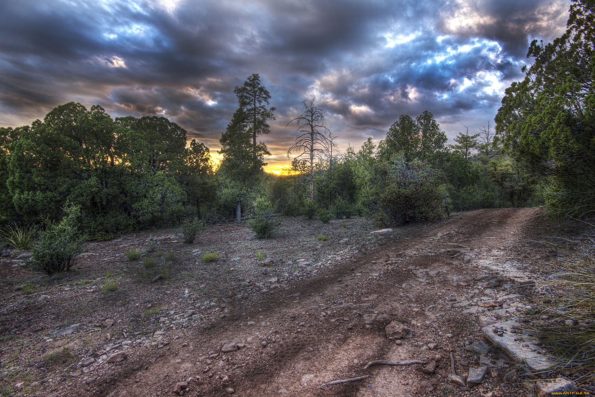 природа, дороги, тракт