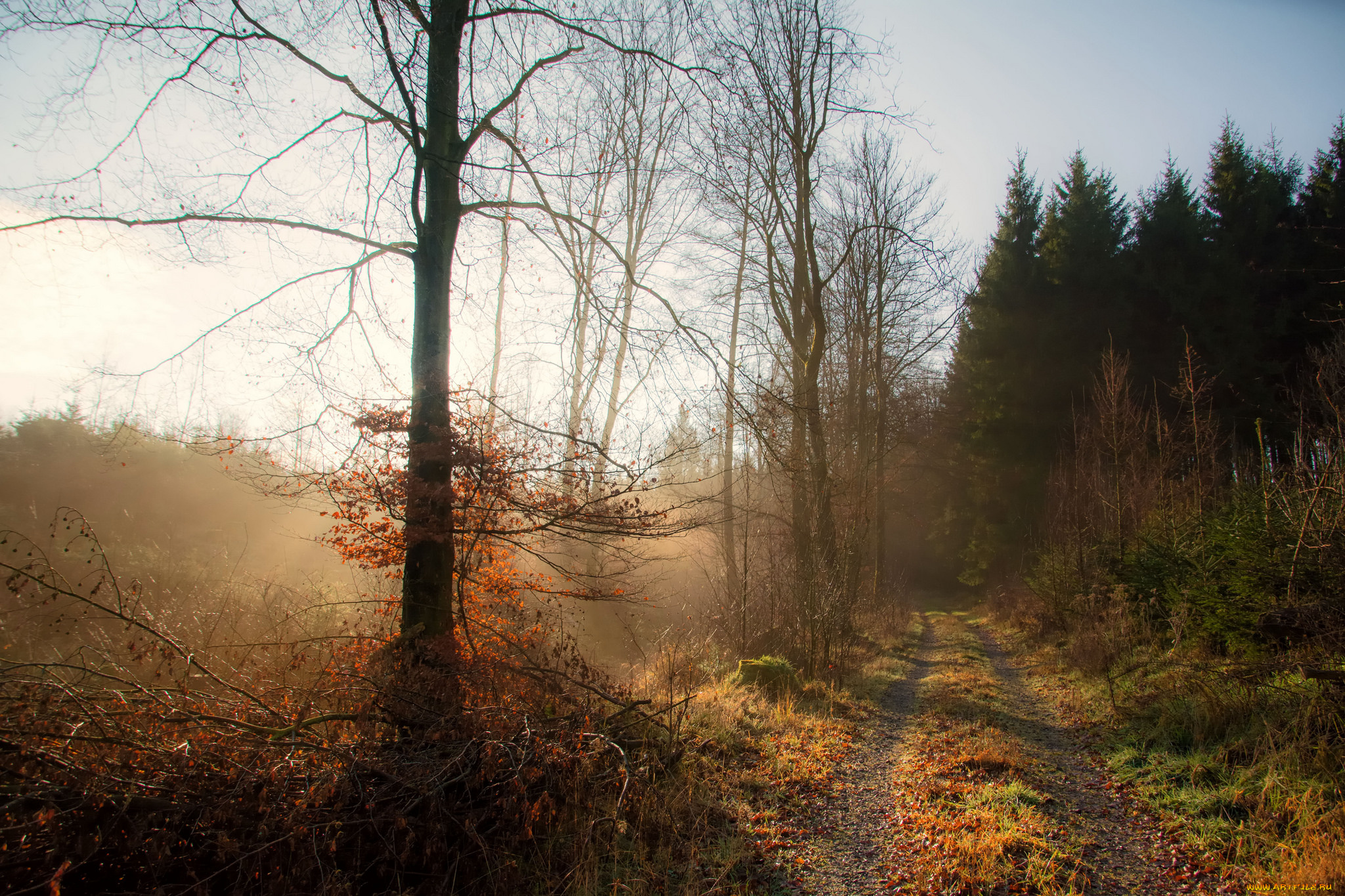 природа, дороги, тракт