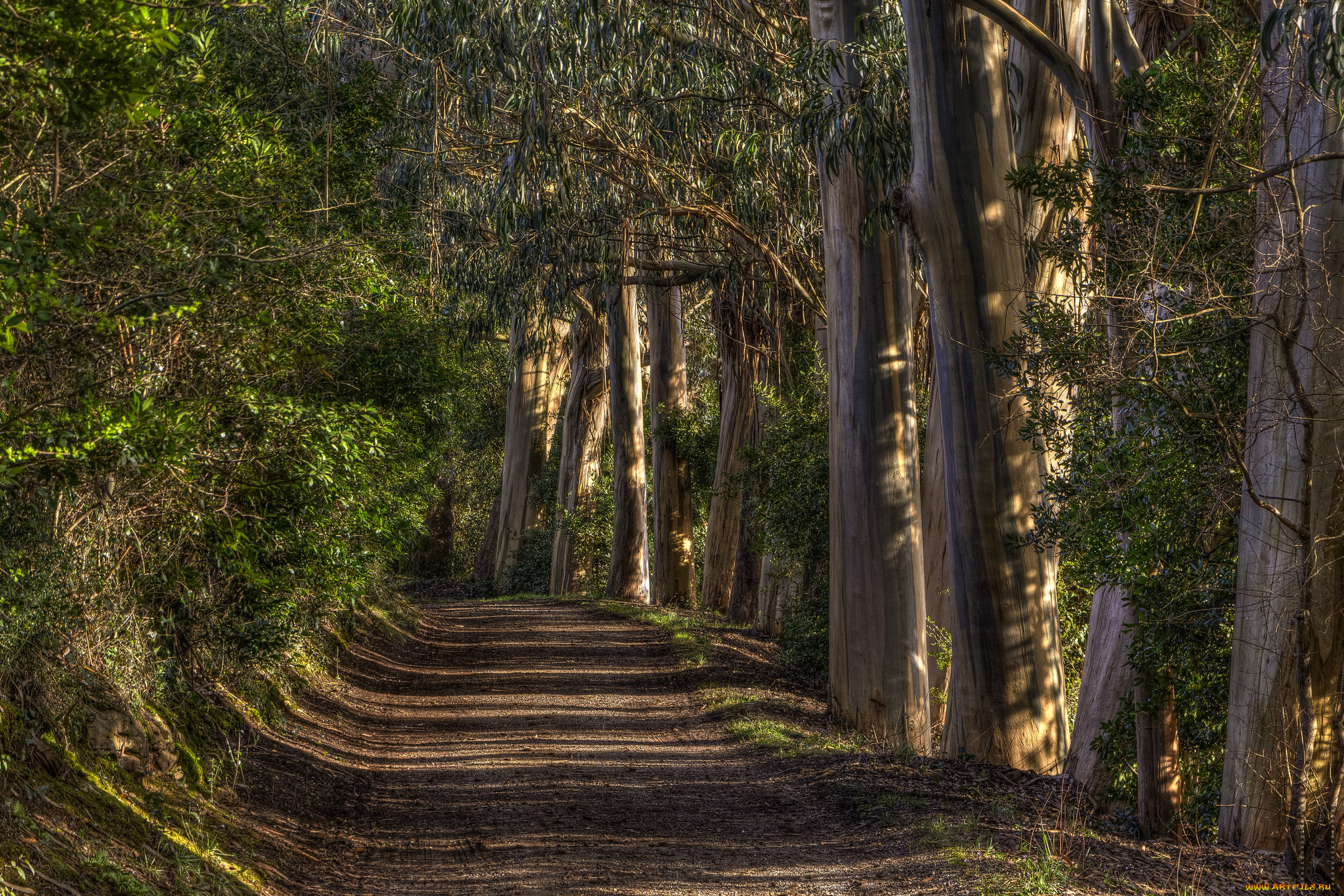 природа, дороги, тракт