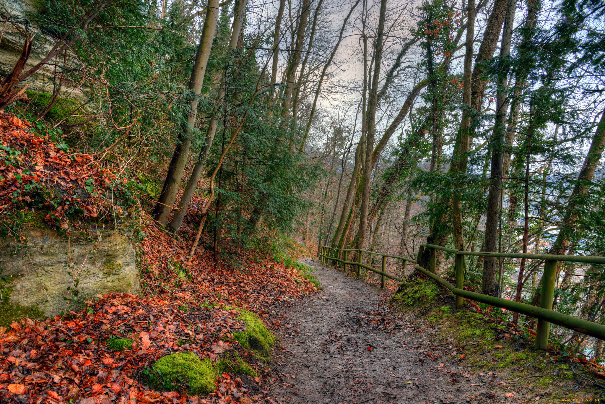 природа, дороги, тракт