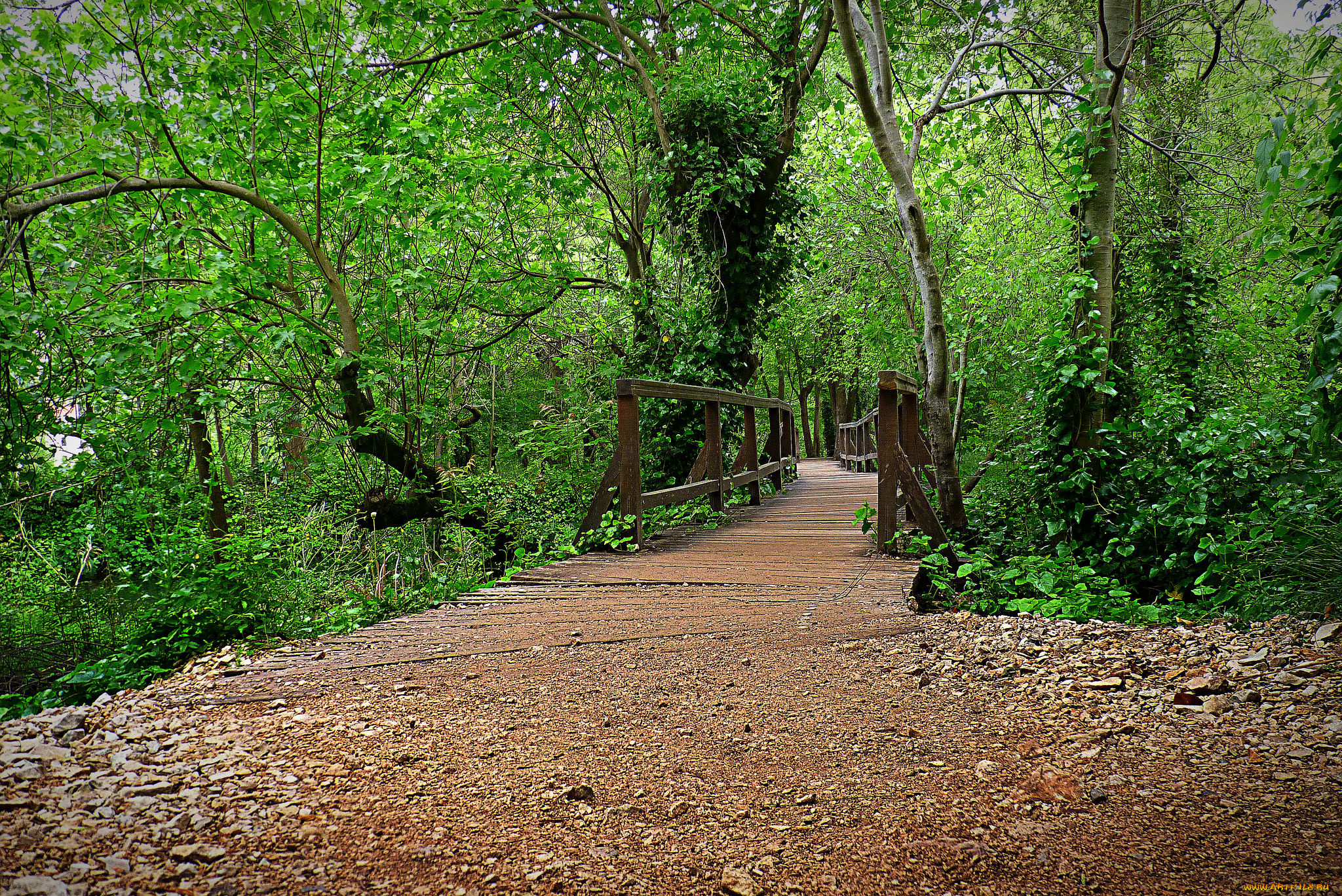 природа, дороги, тракт