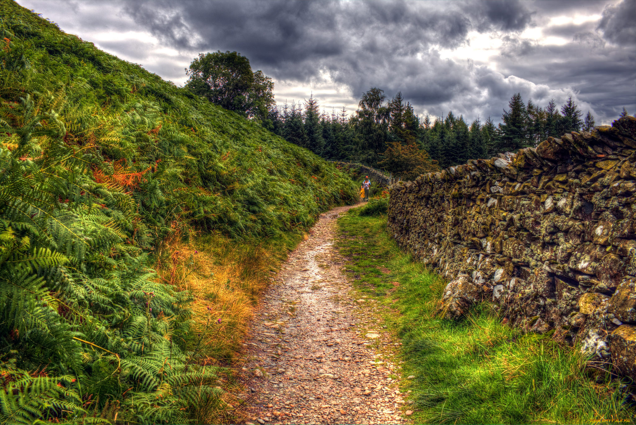 природа, дороги, тракт