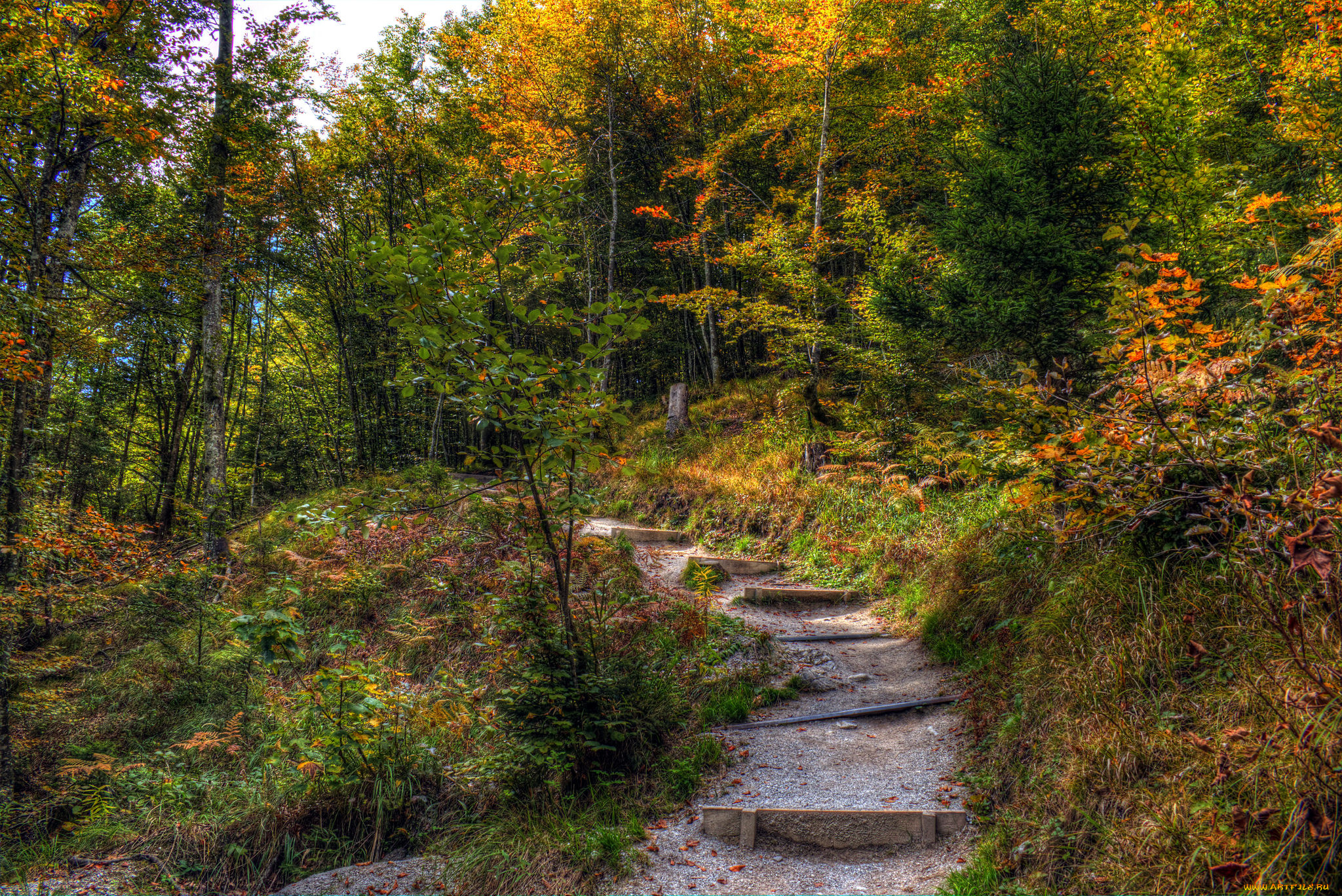 природа, дороги, тракт