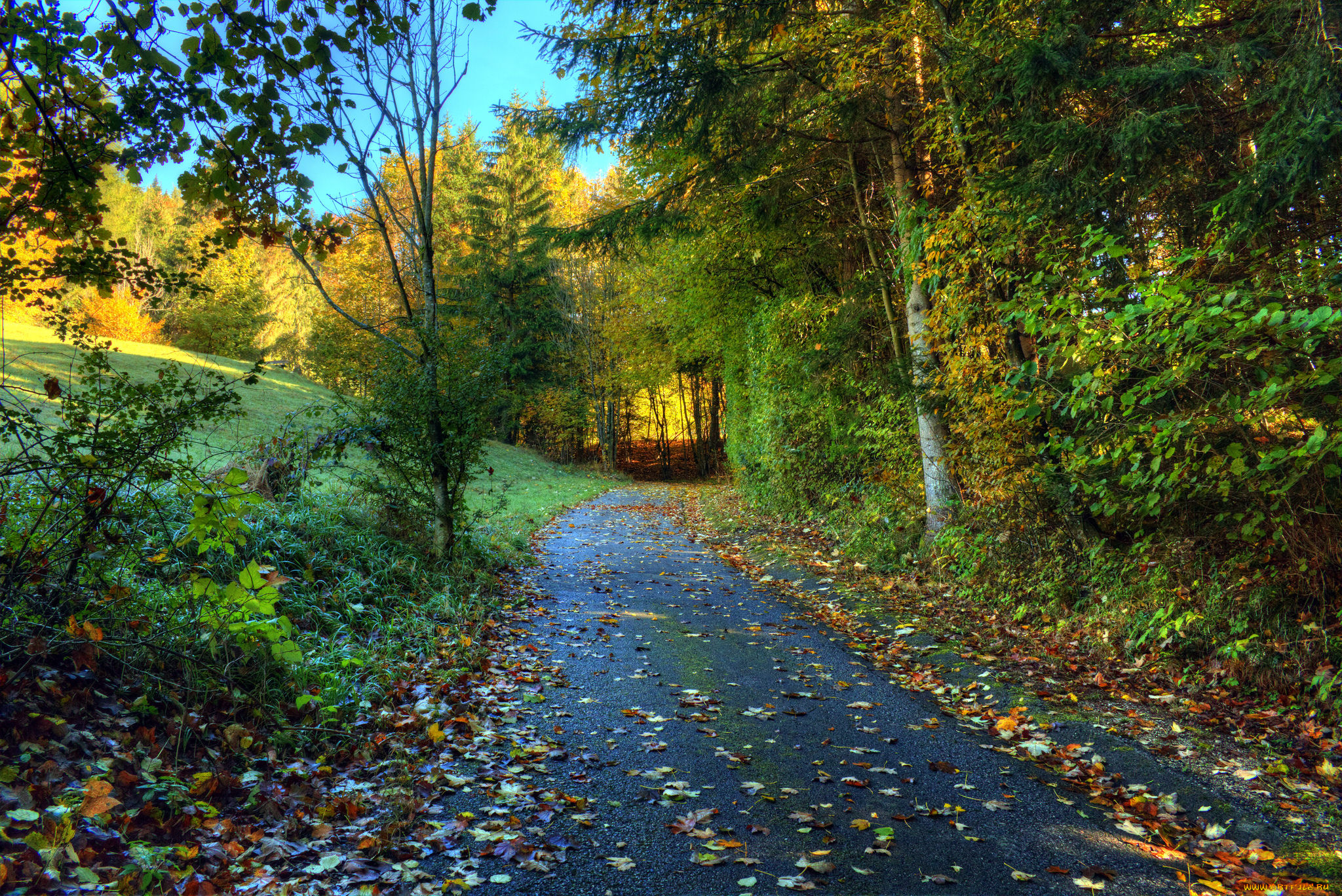 природа, дороги, тракт