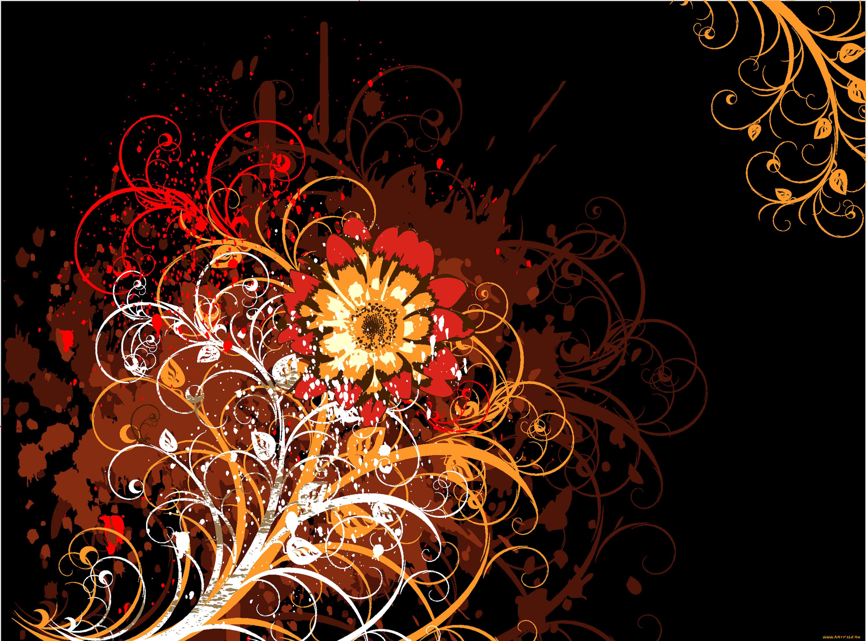 векторная, графика, цветы, , flowers, абстракция, цветок, черный, фон, узоры