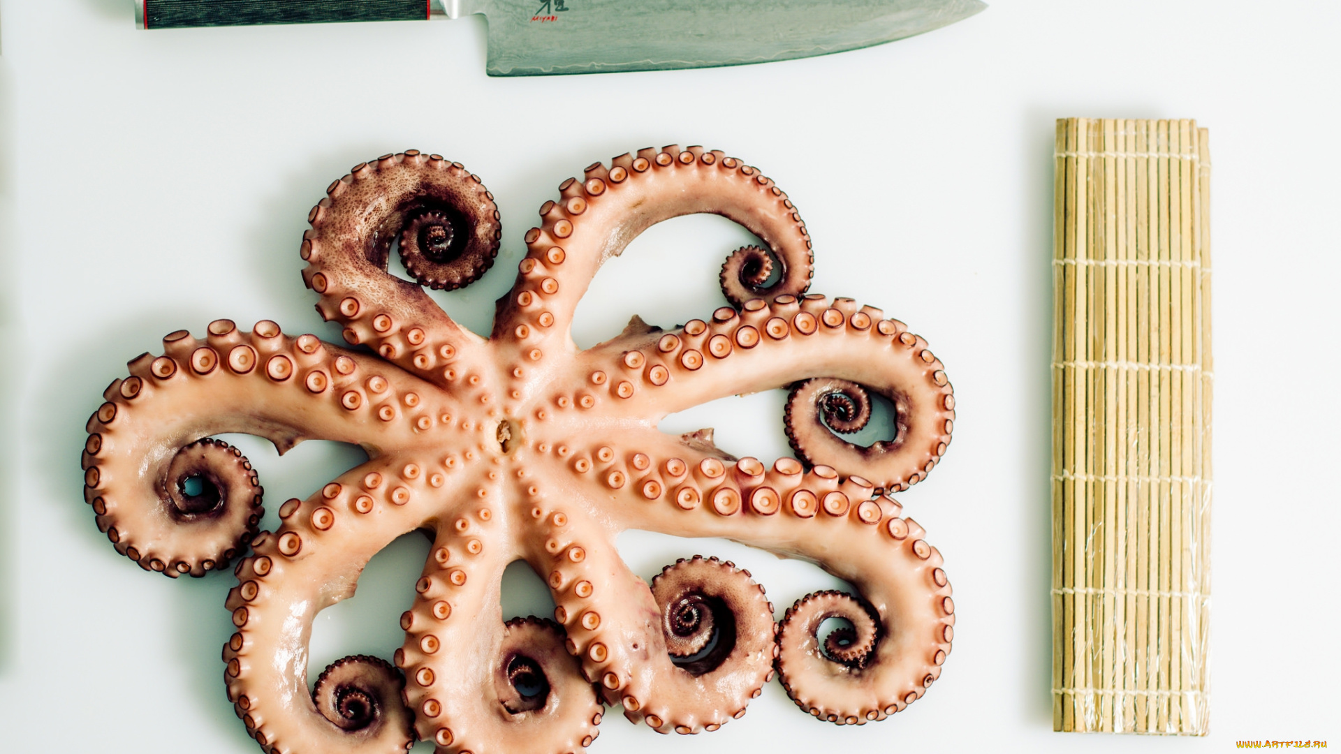 еда, рыба, , морепродукты, , суши, , роллы, осьминог