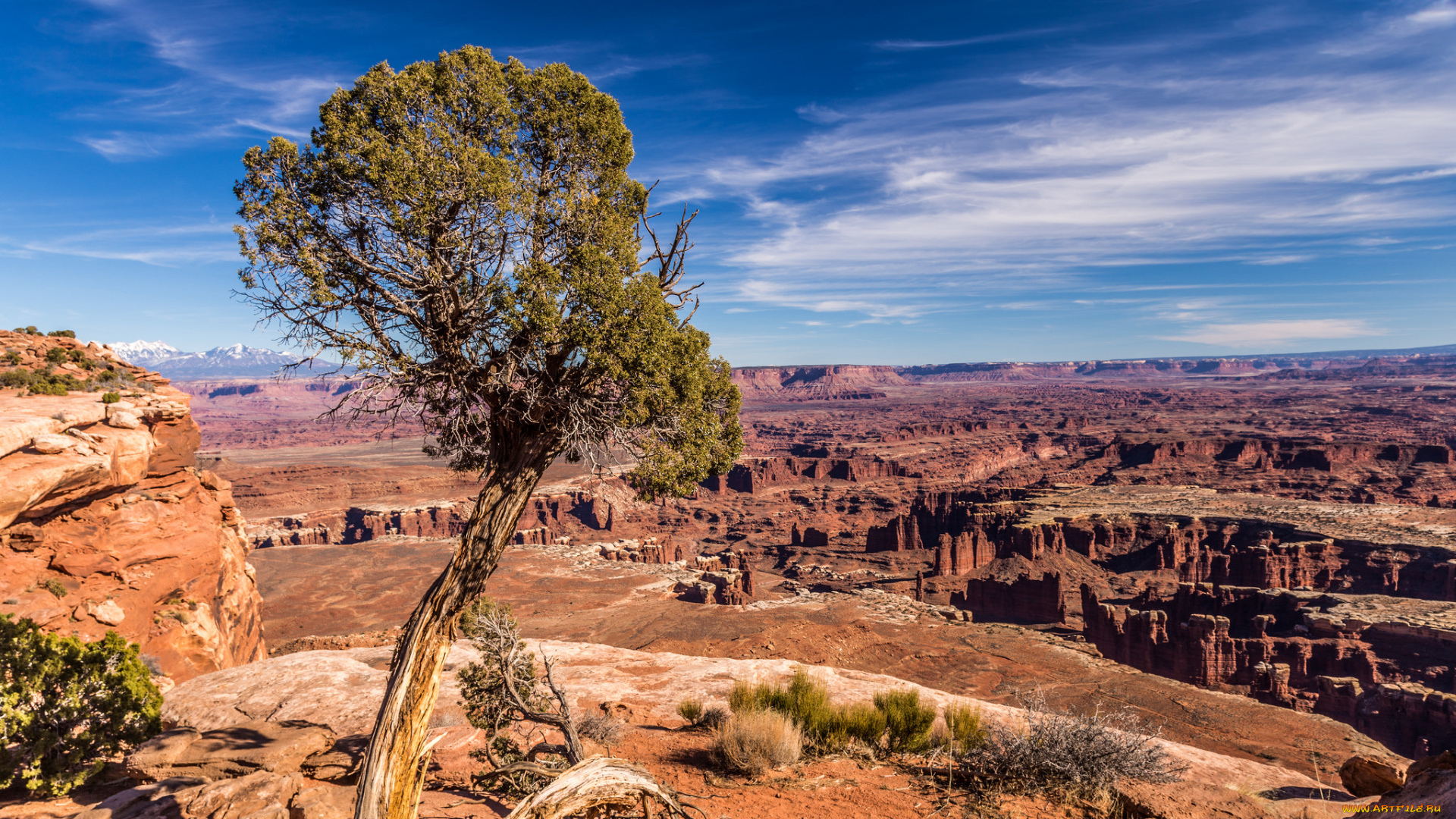 природа, горы, простор