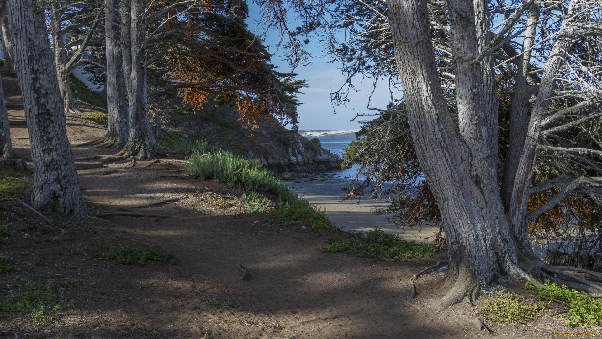 природа, пейзажи, простор