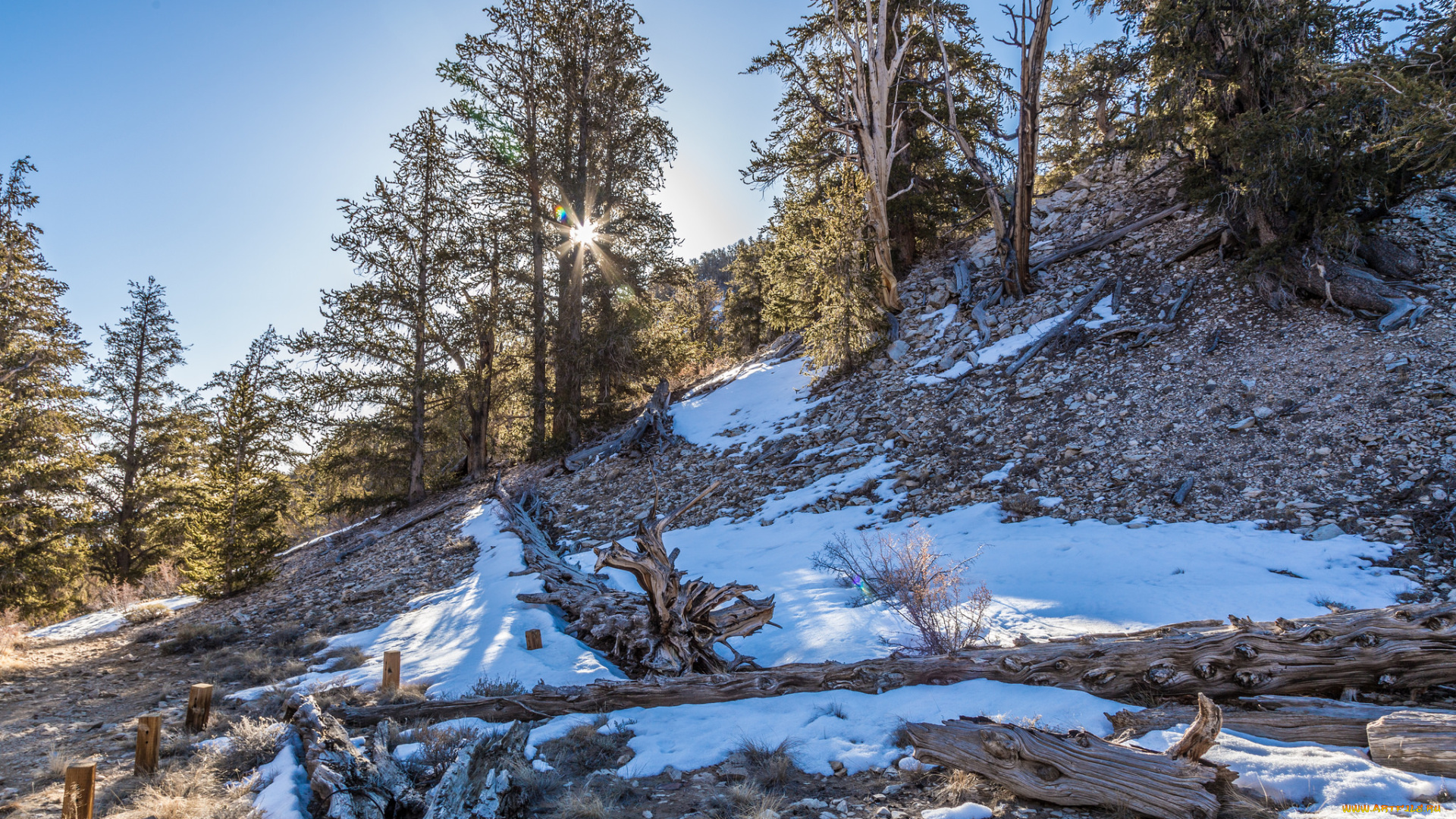 природа, пейзажи, простор