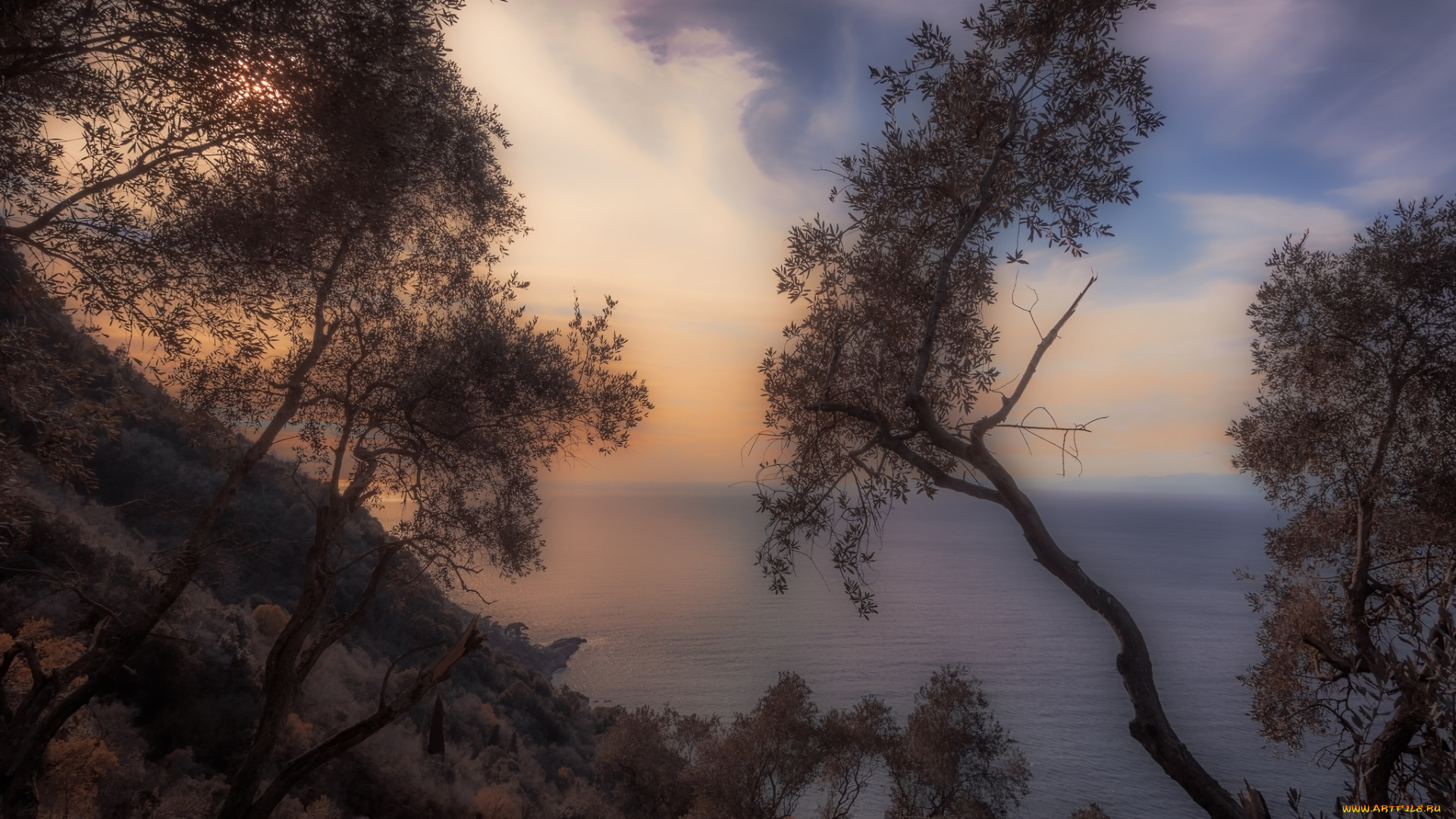 природа, побережье, море, берег