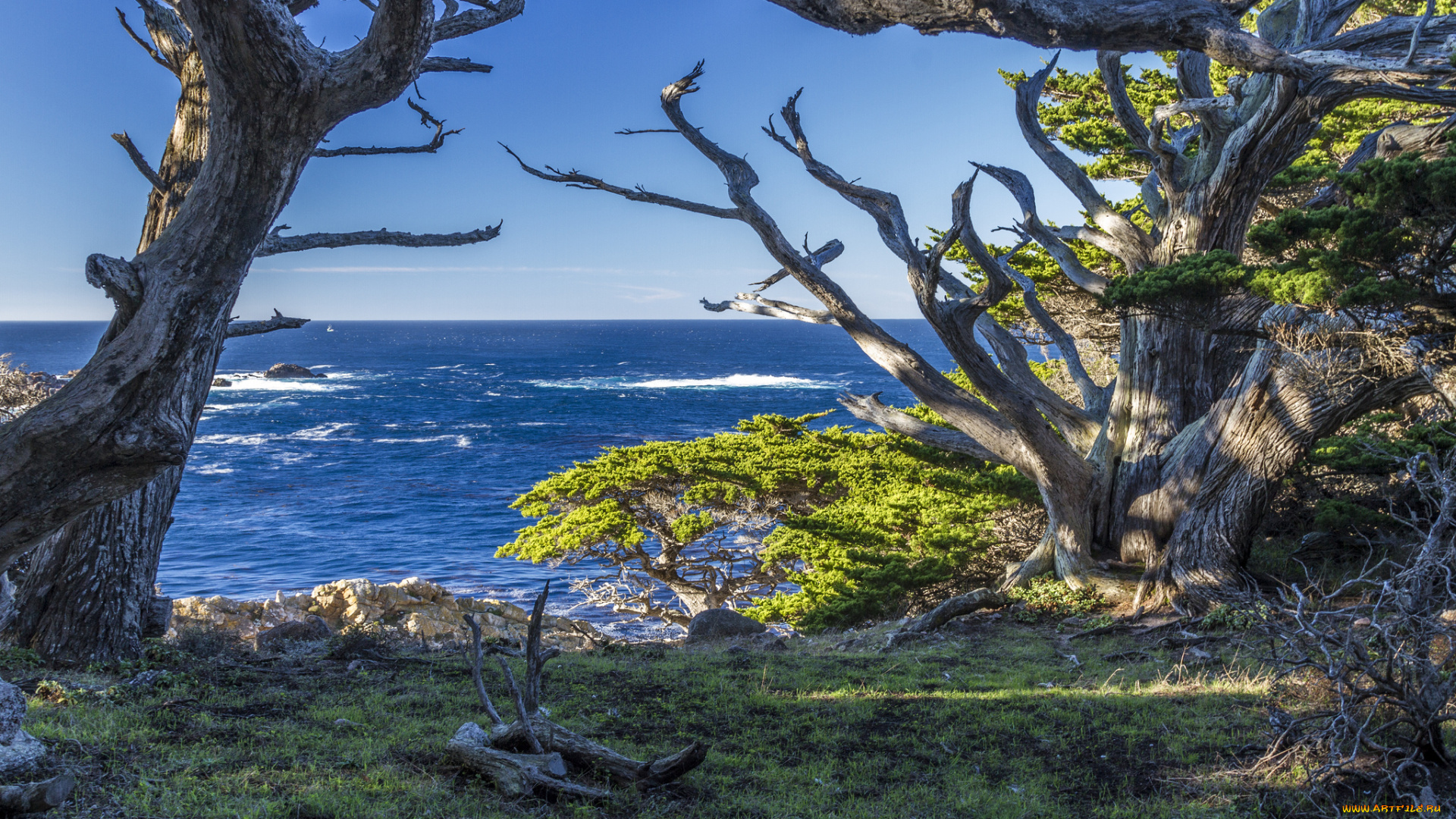 природа, побережье, простор