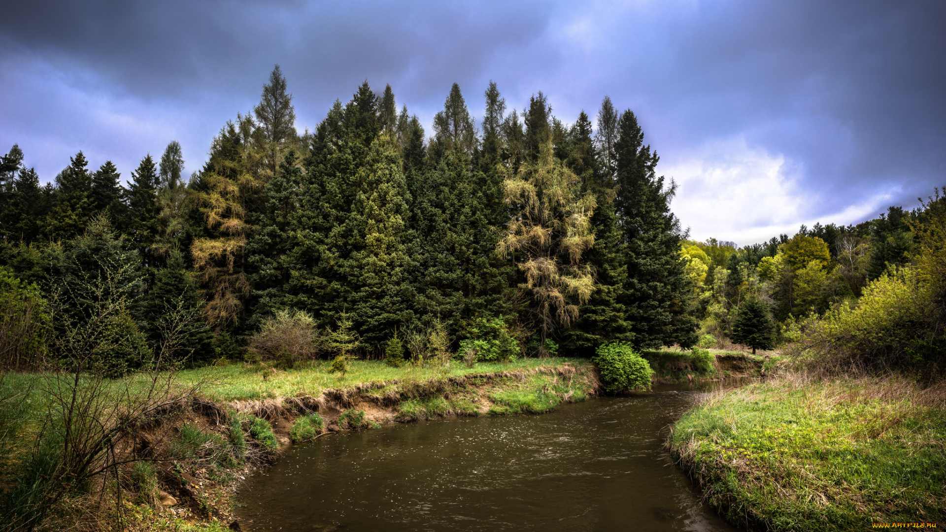 природа, реки, озера, лес, река