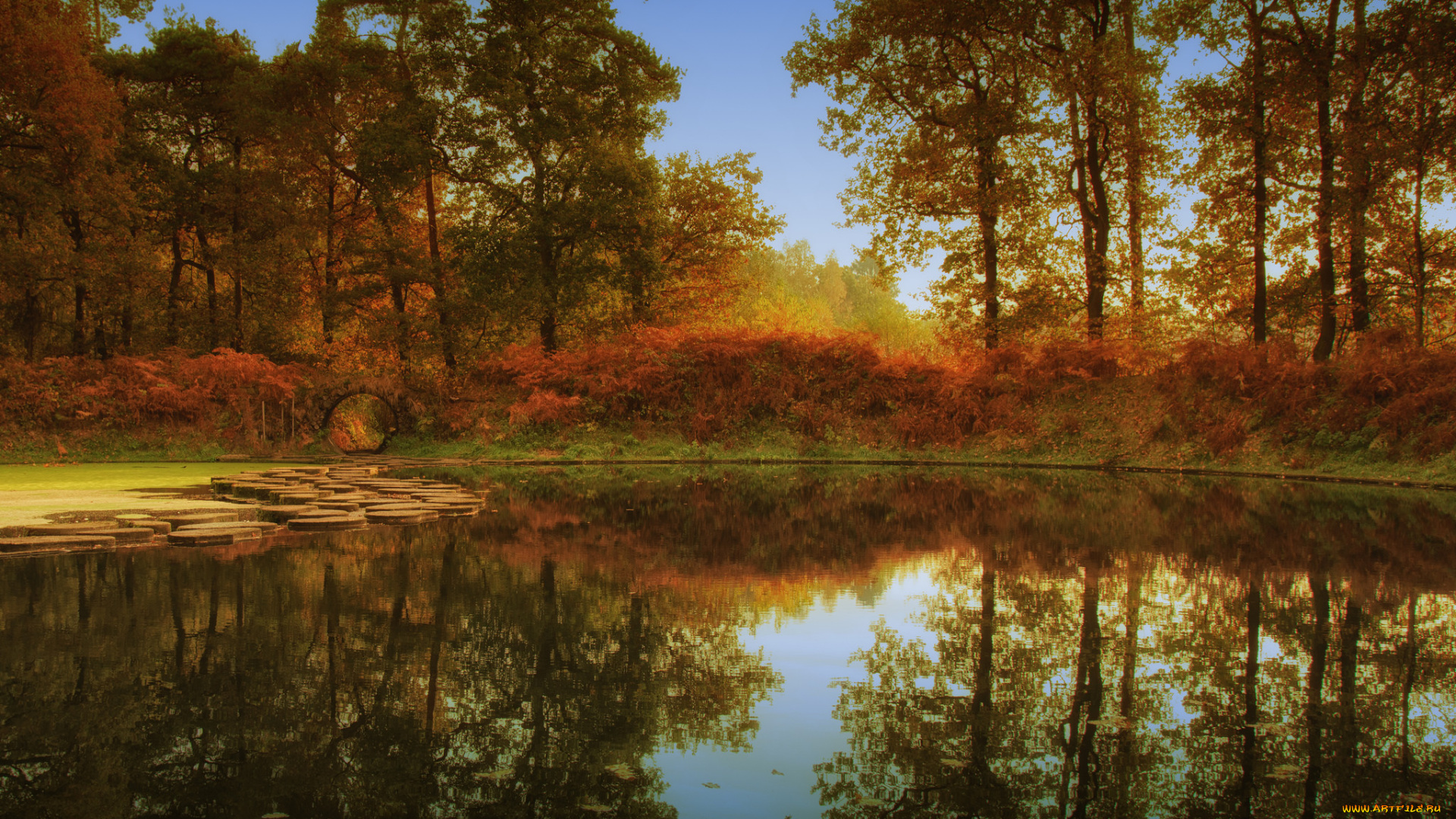 природа, реки, озера, лес, река