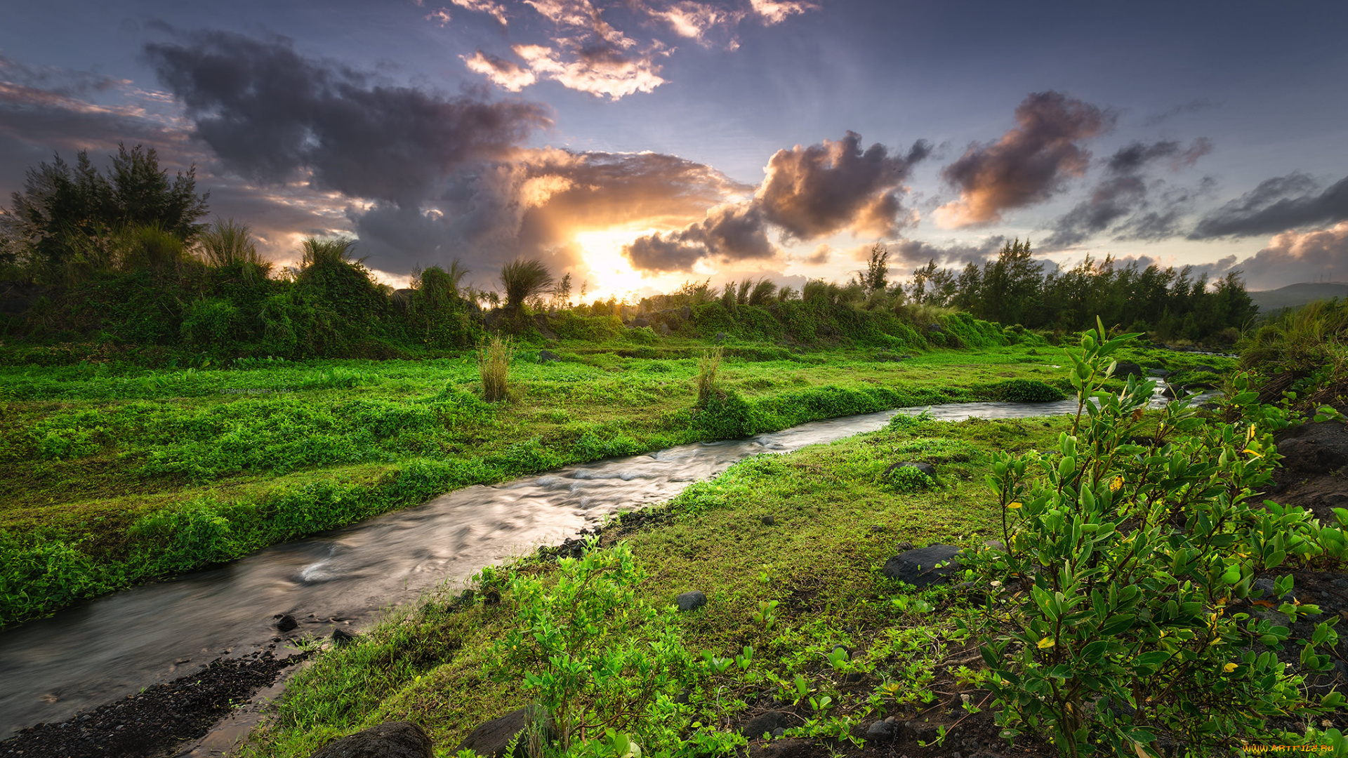 природа, реки, озера, лес, река