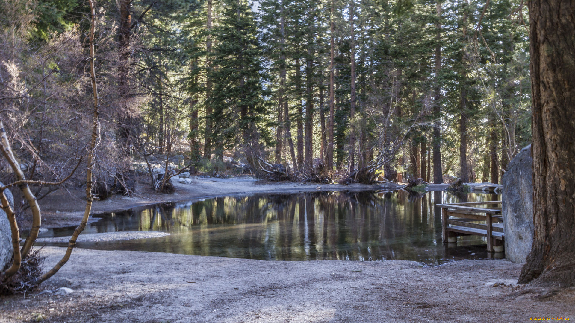 природа, реки, озера, простор