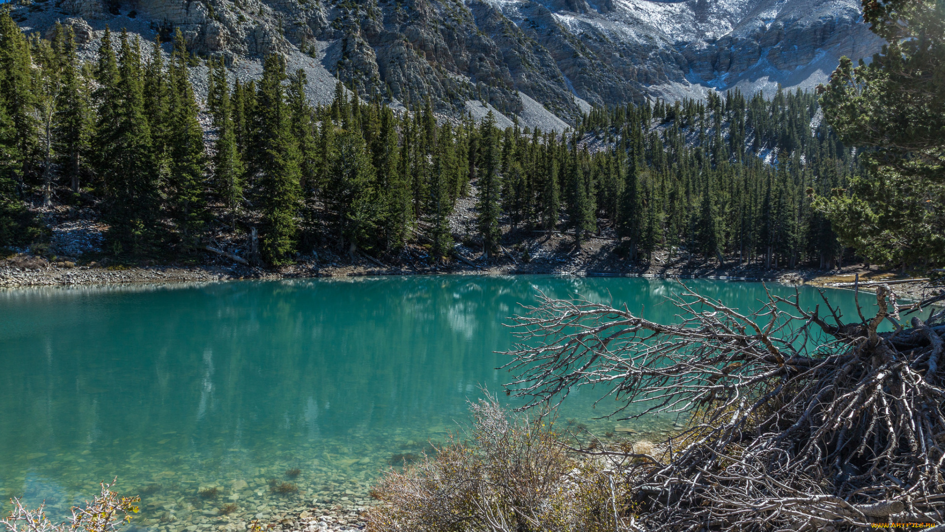 природа, реки, озера, простор