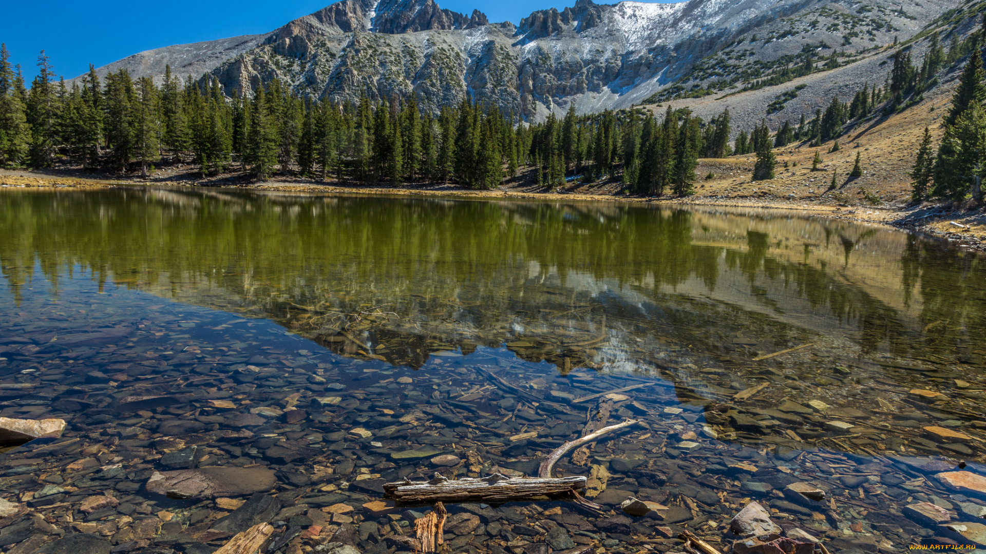 природа, реки, озера, простор