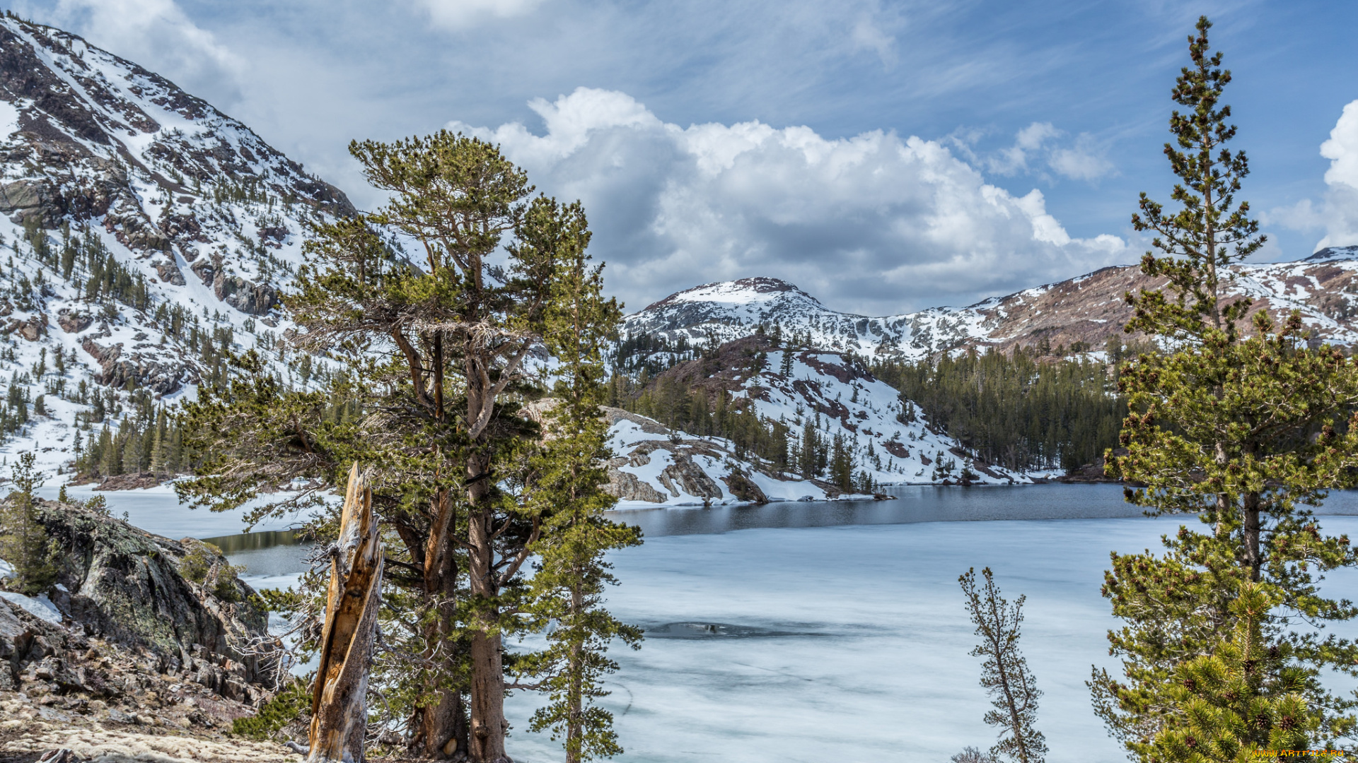 природа, реки, озера, простор