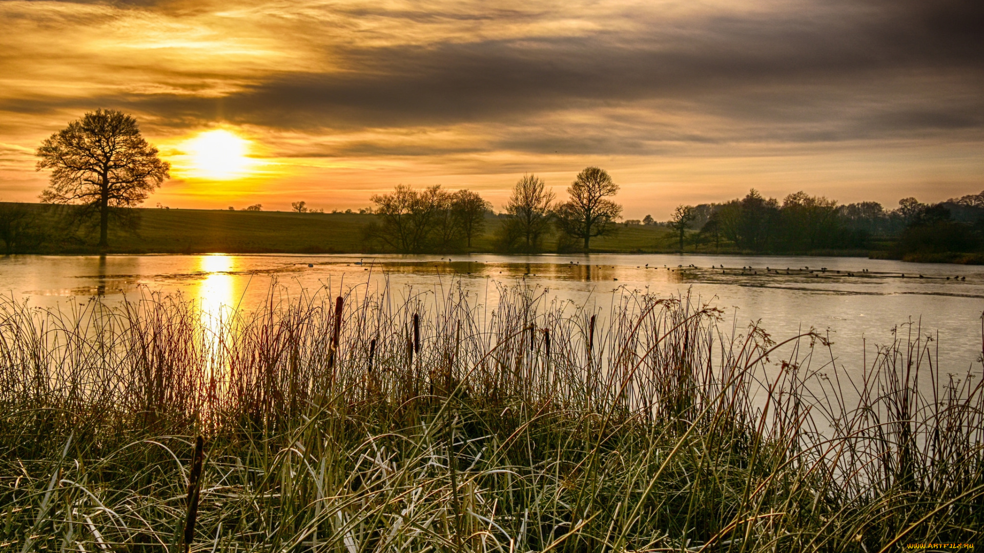 природа, восходы, закаты, простор