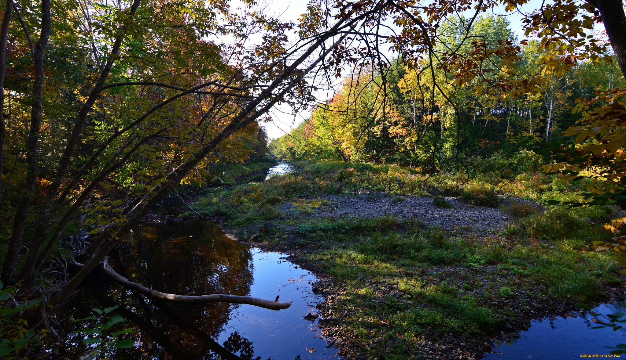 природа, реки, озера, лес, река