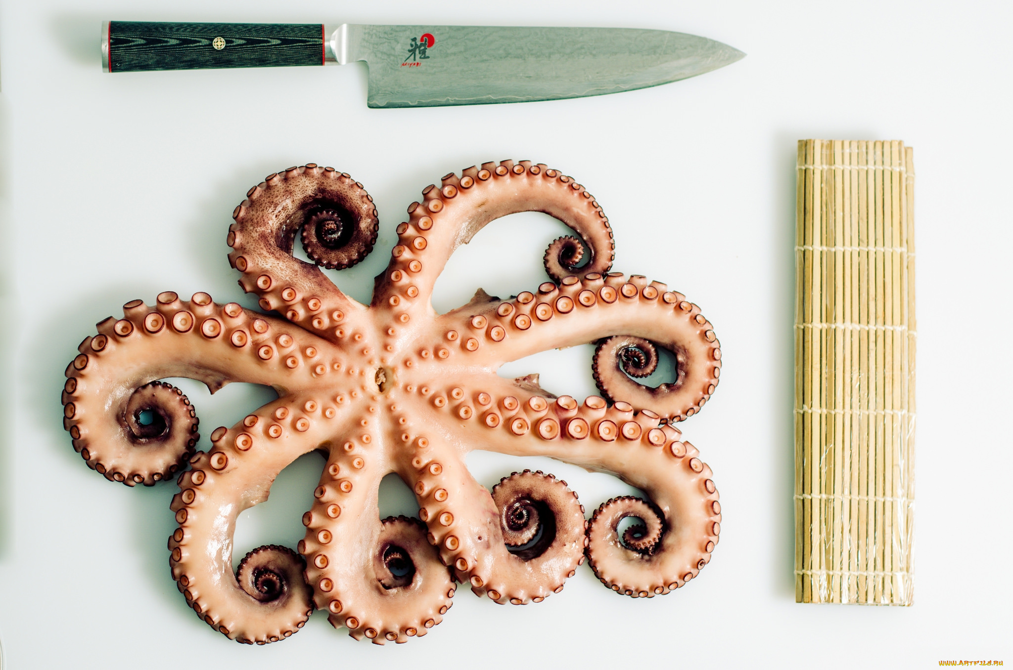 еда, рыба, , морепродукты, , суши, , роллы, осьминог