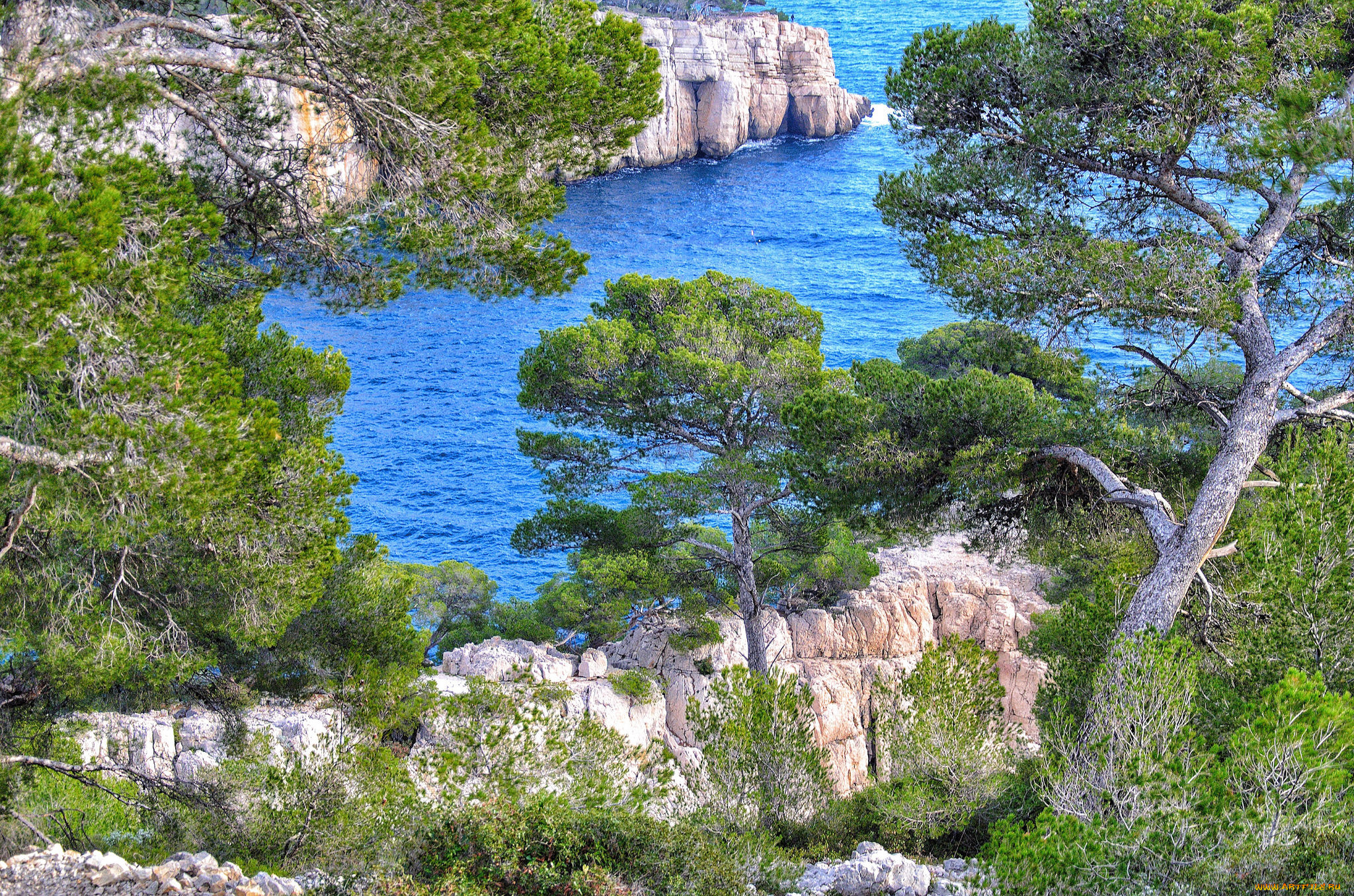 природа, побережье, море, берег