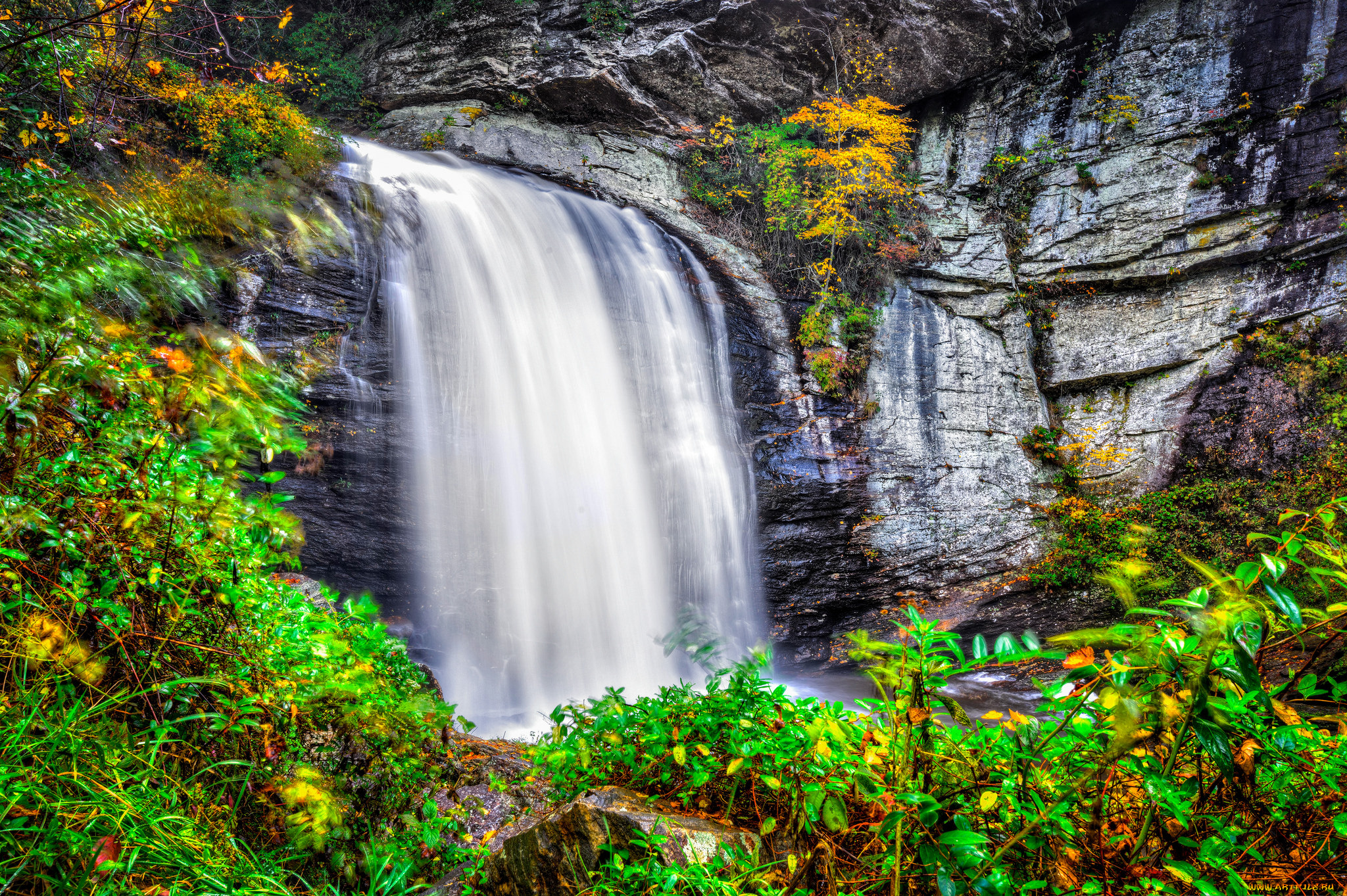 природа, водопады, лес, река, водопад