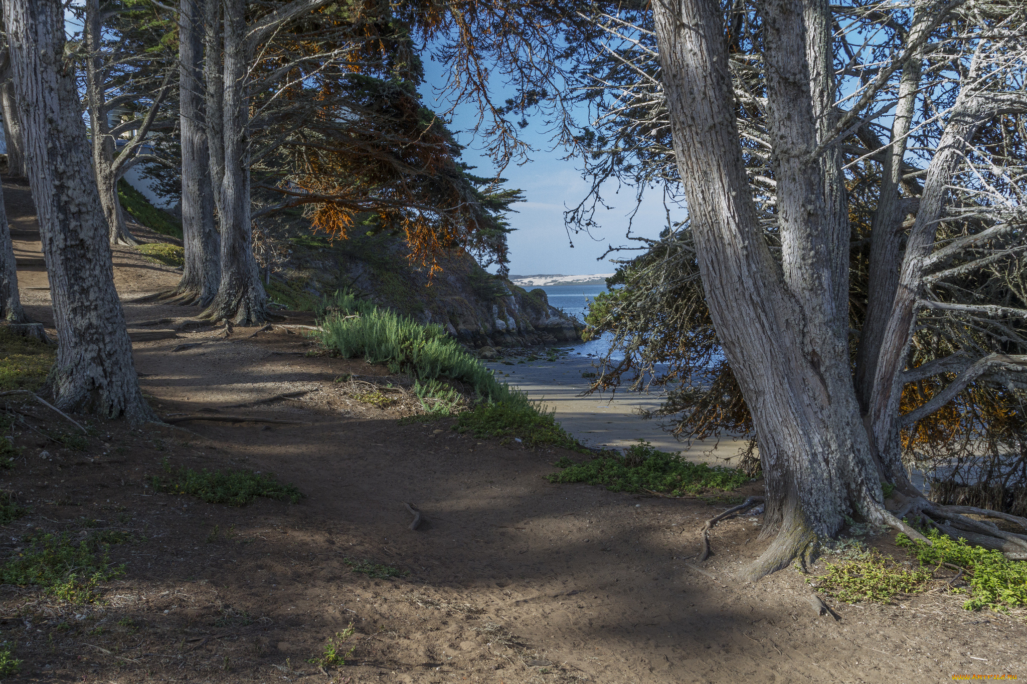 природа, пейзажи, простор