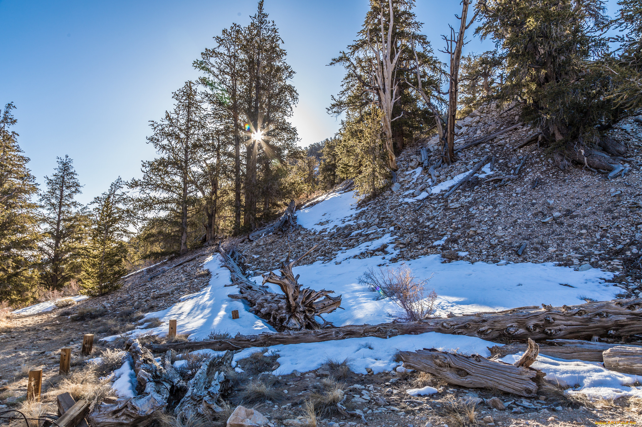 природа, пейзажи, простор
