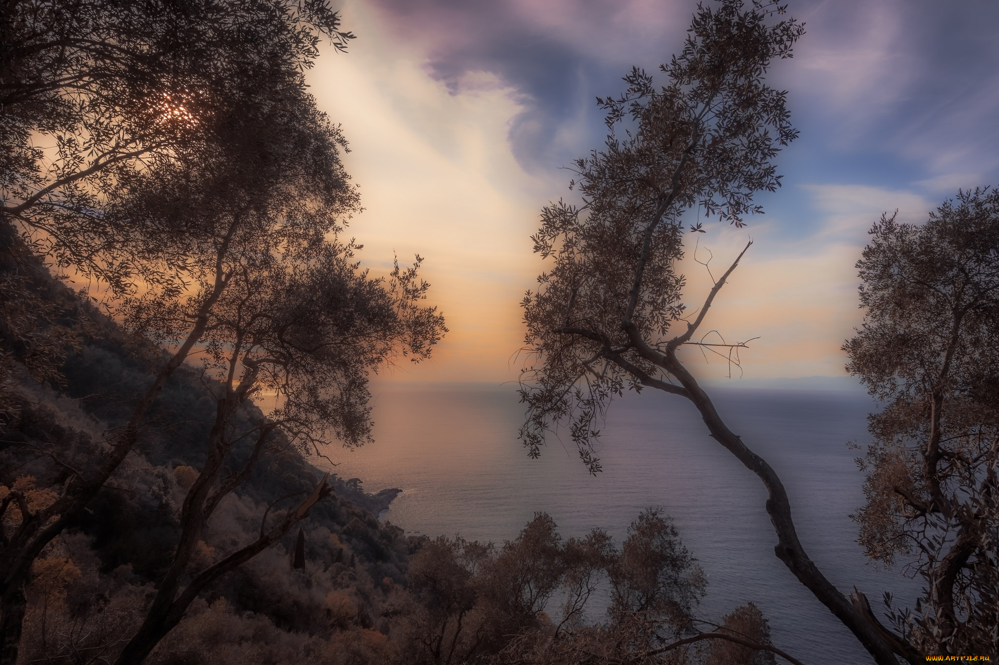 природа, побережье, море, берег