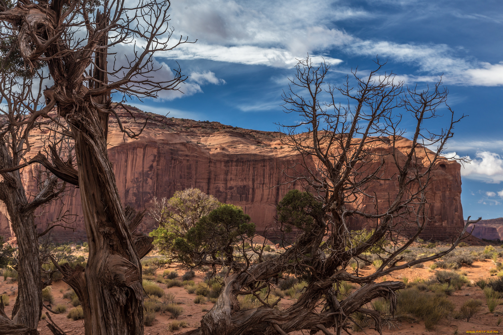 природа, пустыни, простор